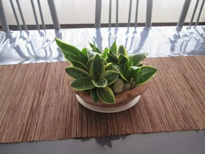 Property building in Touristlink Homestay