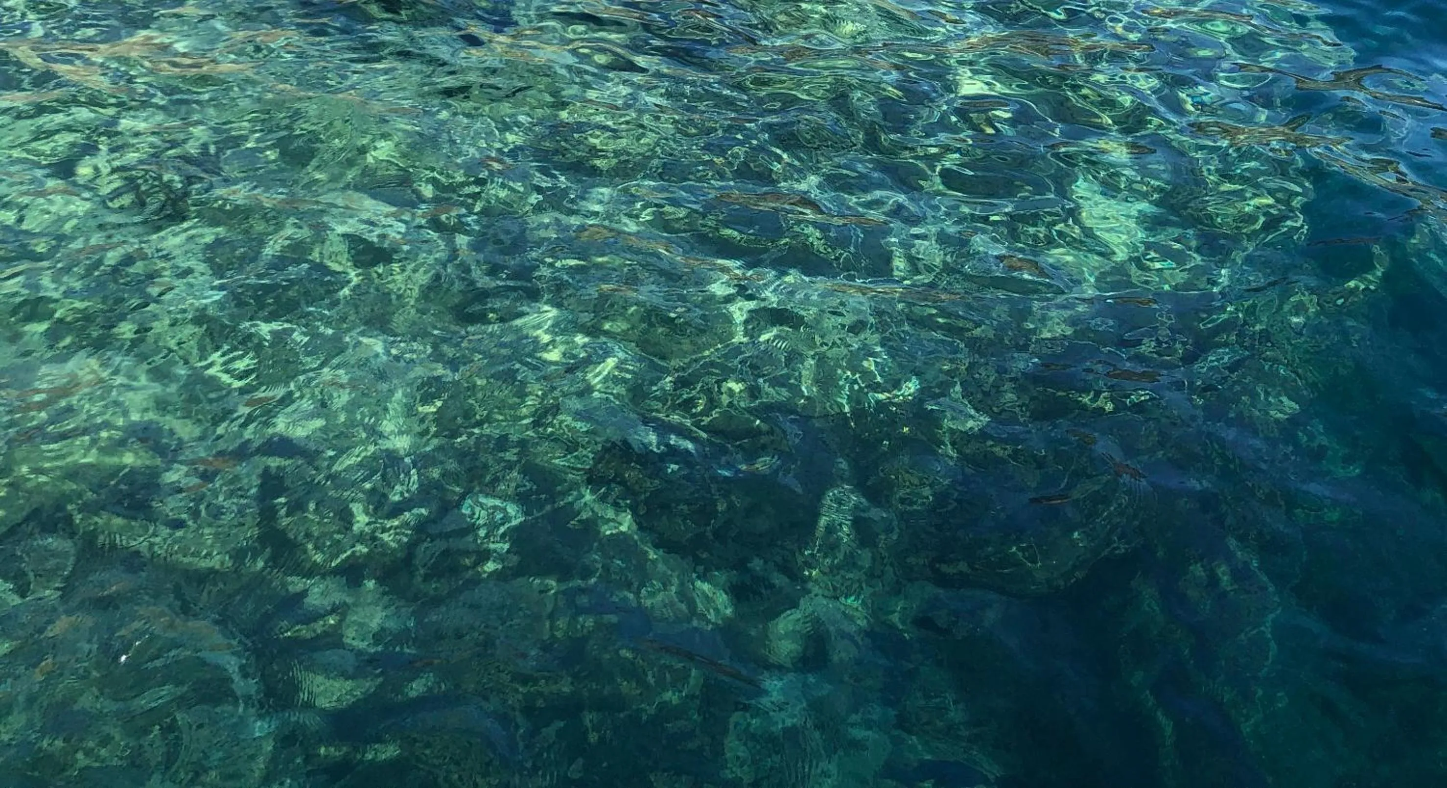 Location in Vesuvius Terminal