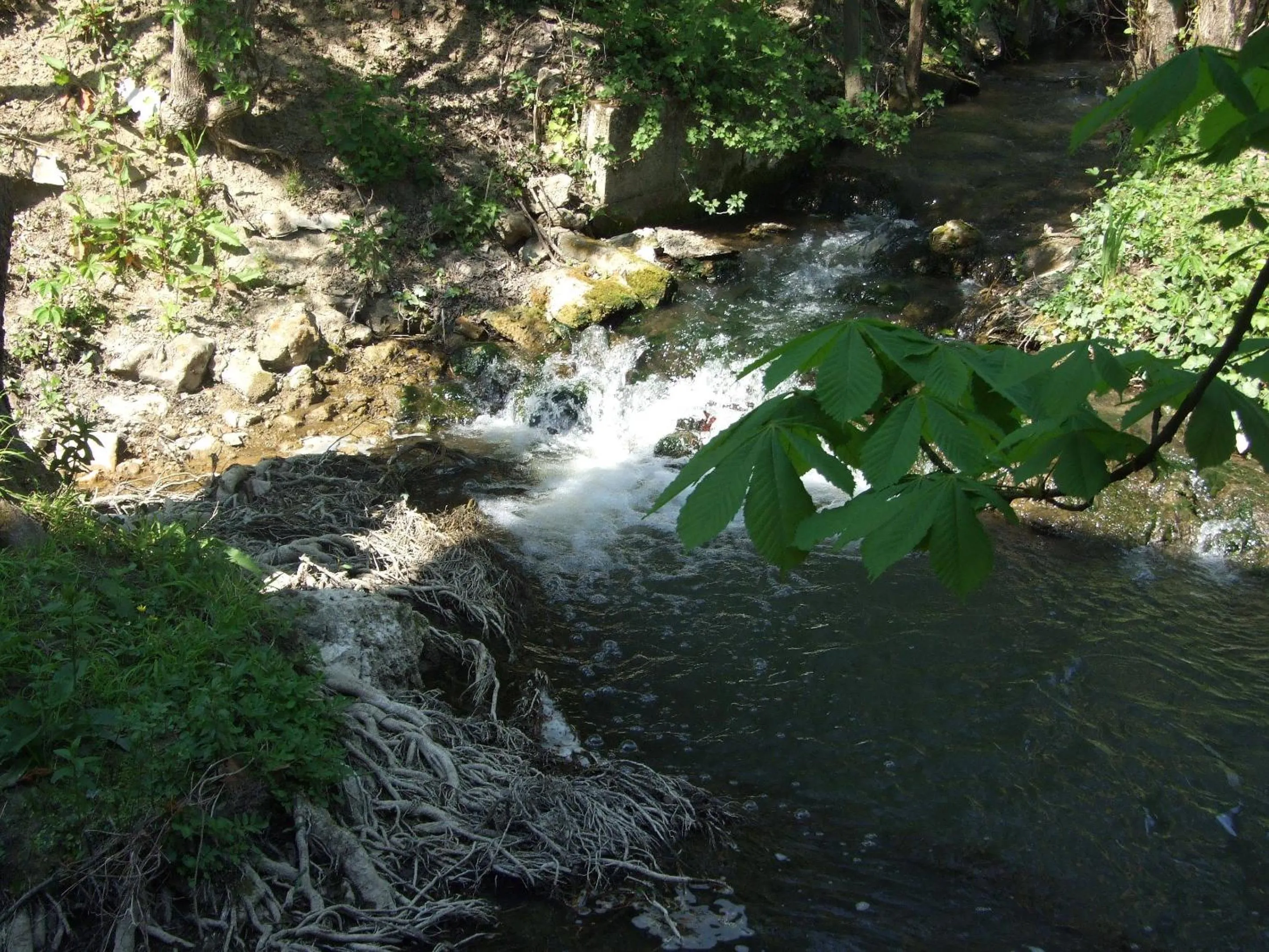 Area and facilities in Chambres d'hotes du Port Gautier