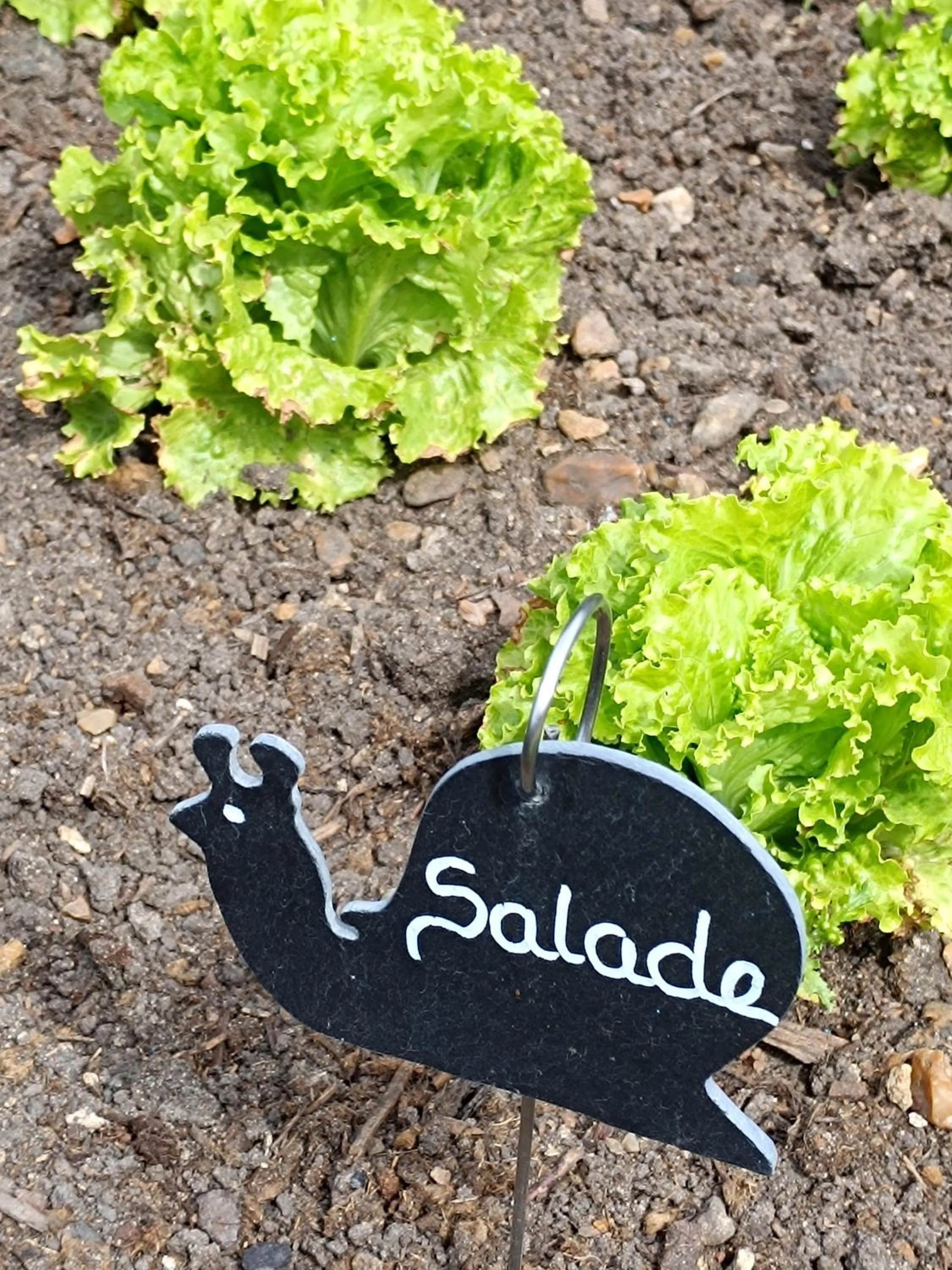 Spring in Chambres d'hotes du Port Gautier