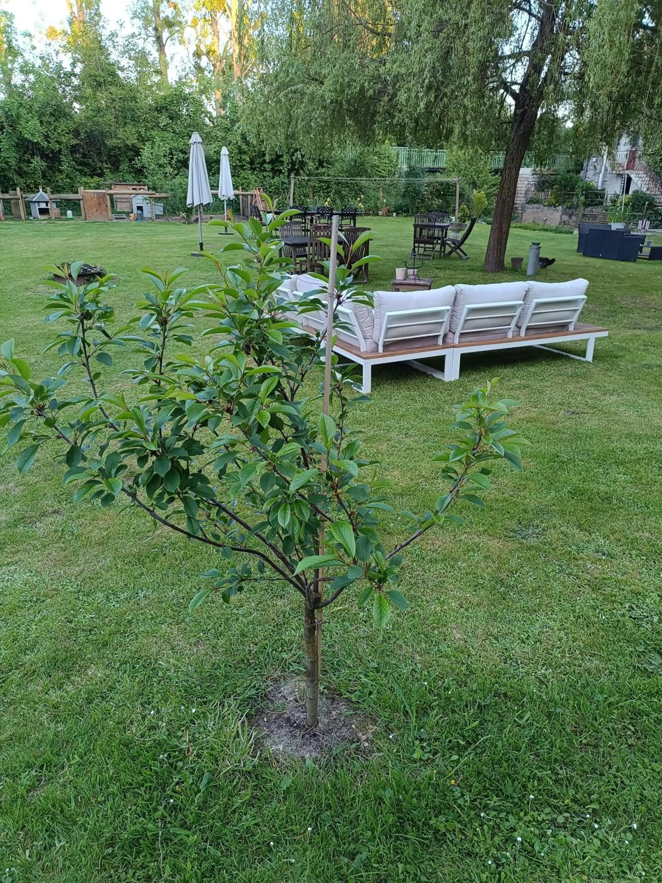 Spring in Chambres d'hotes du Port Gautier