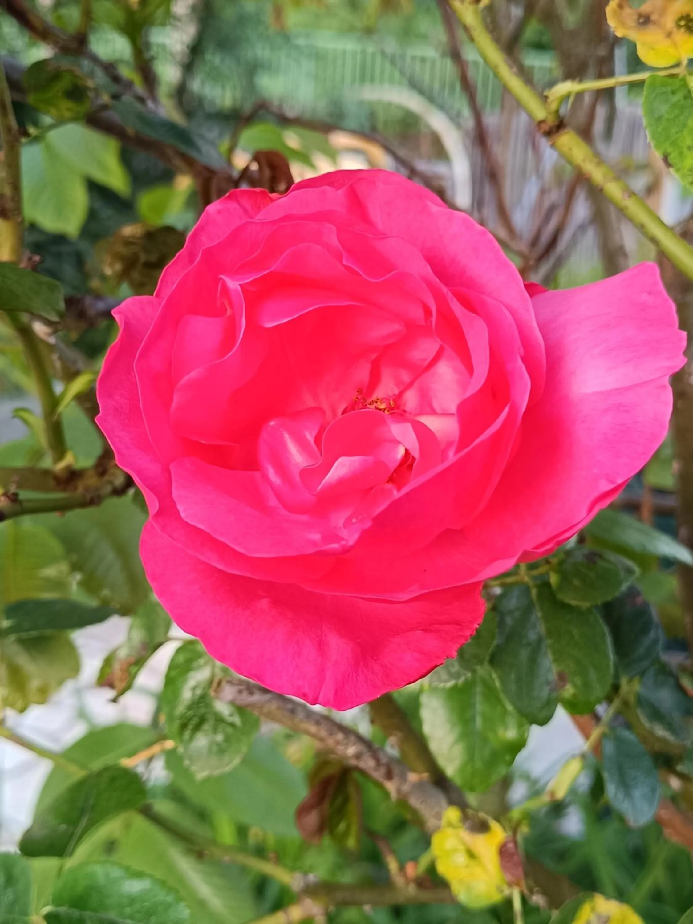 Spring in Chambres d'hotes du Port Gautier