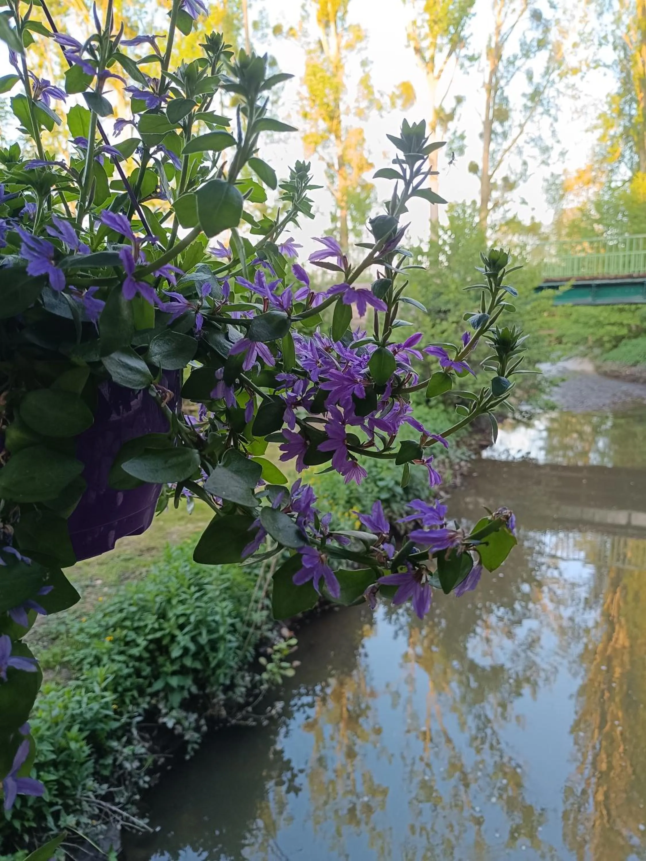 Spring in Chambres d'hotes du Port Gautier