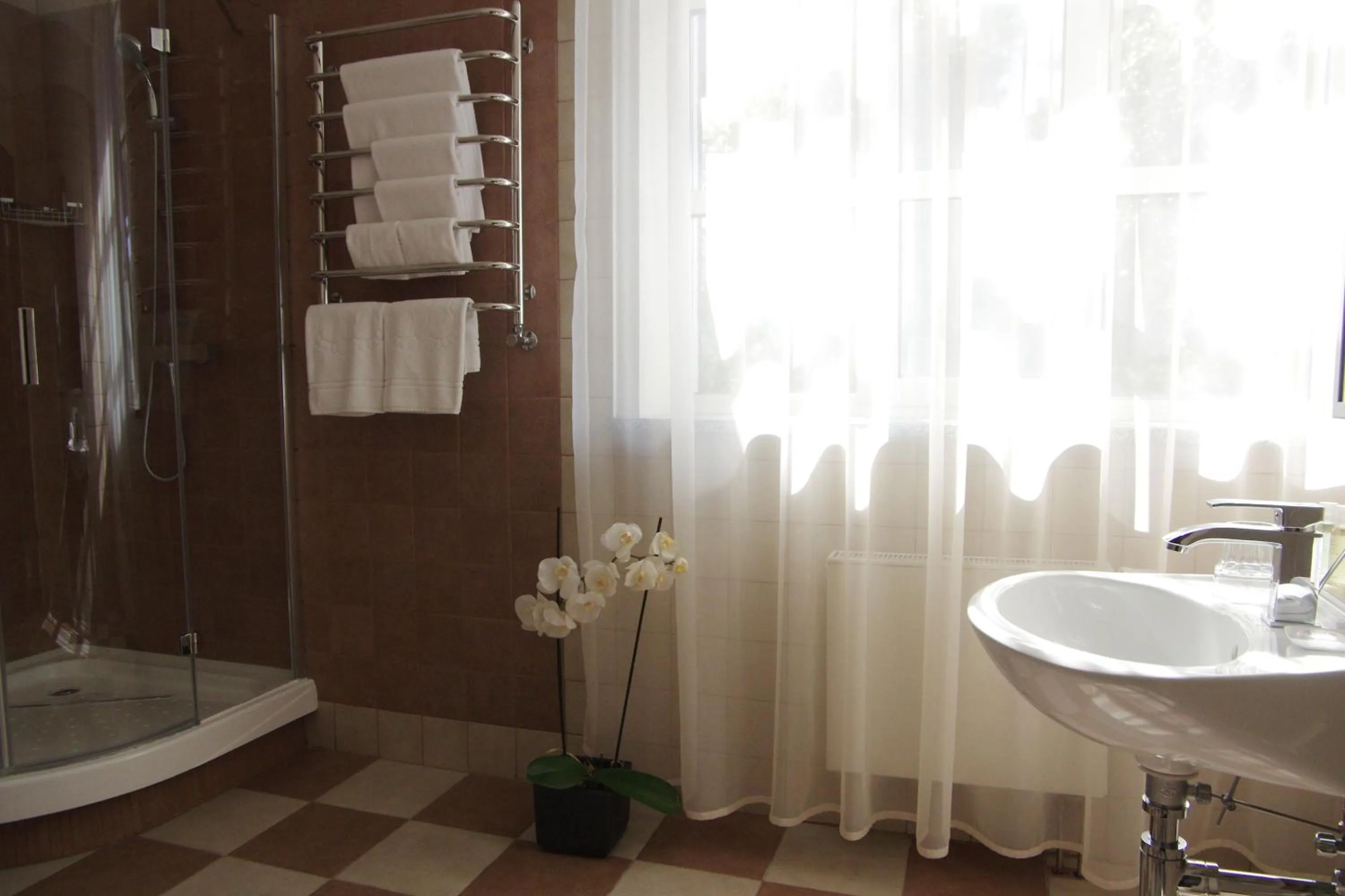 Bathroom in Park-Hotel Golosievo