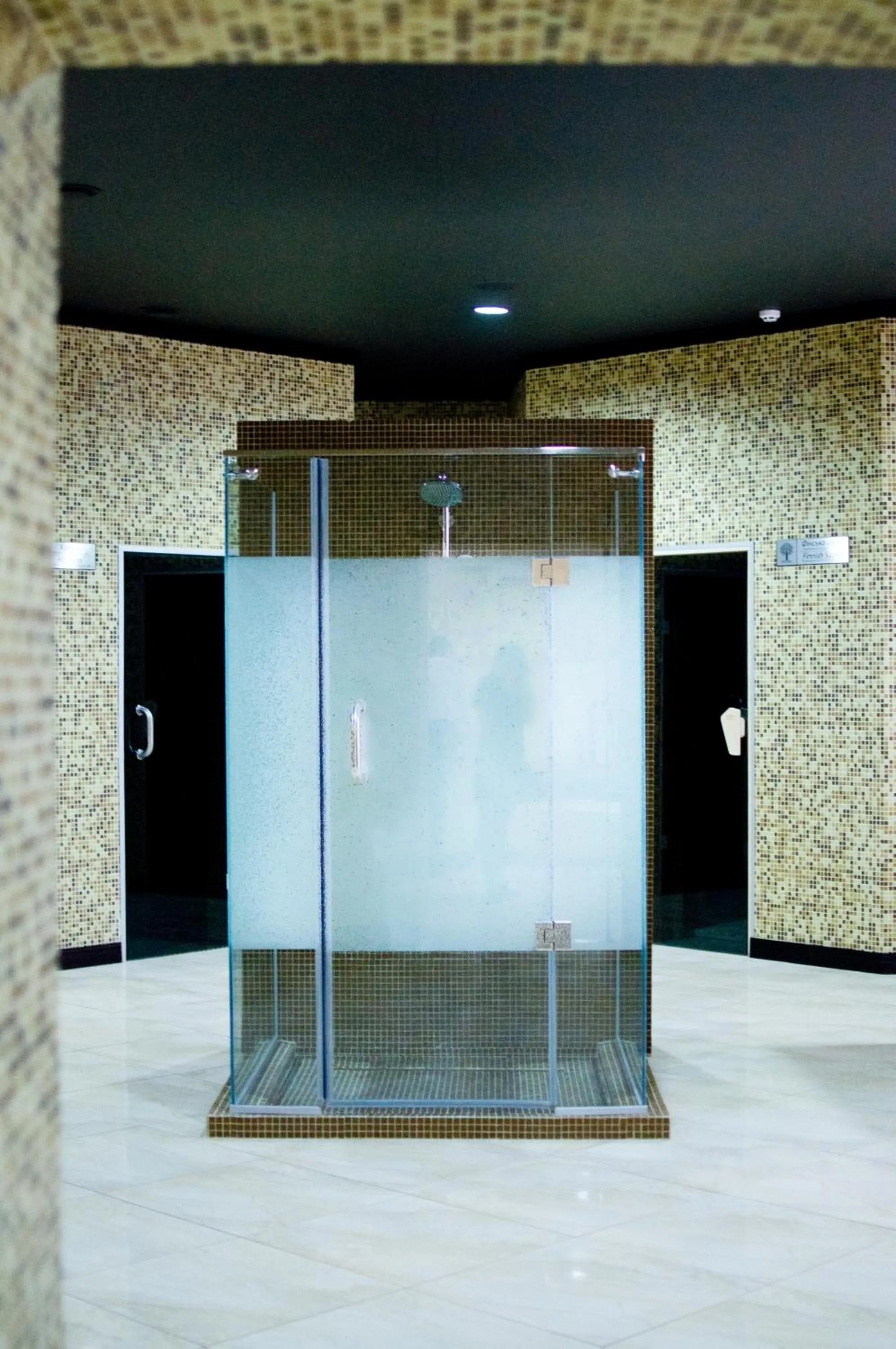 Spa and wellness centre/facilities in Park-Hotel Golosievo