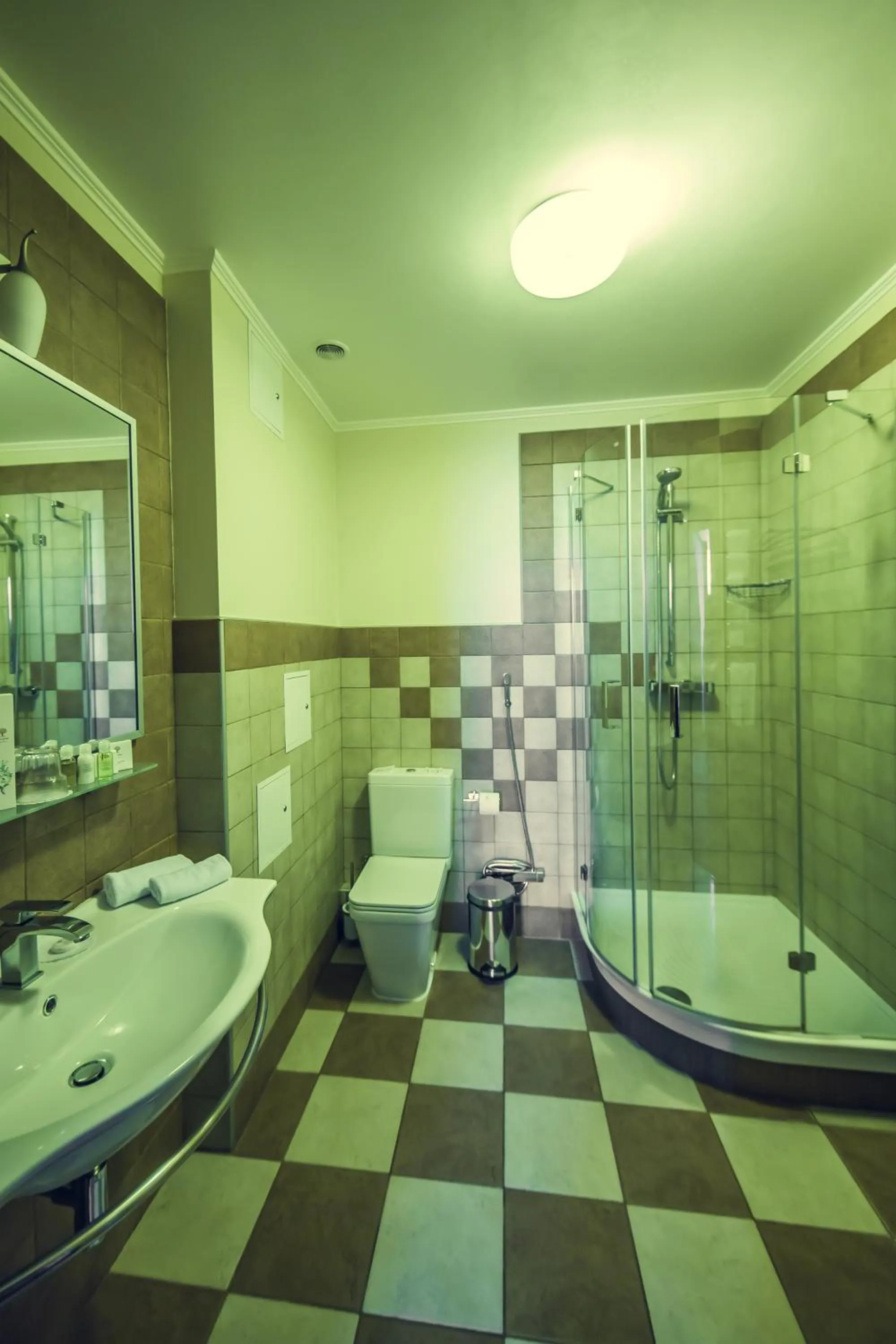 Bathroom in Park-Hotel Golosievo