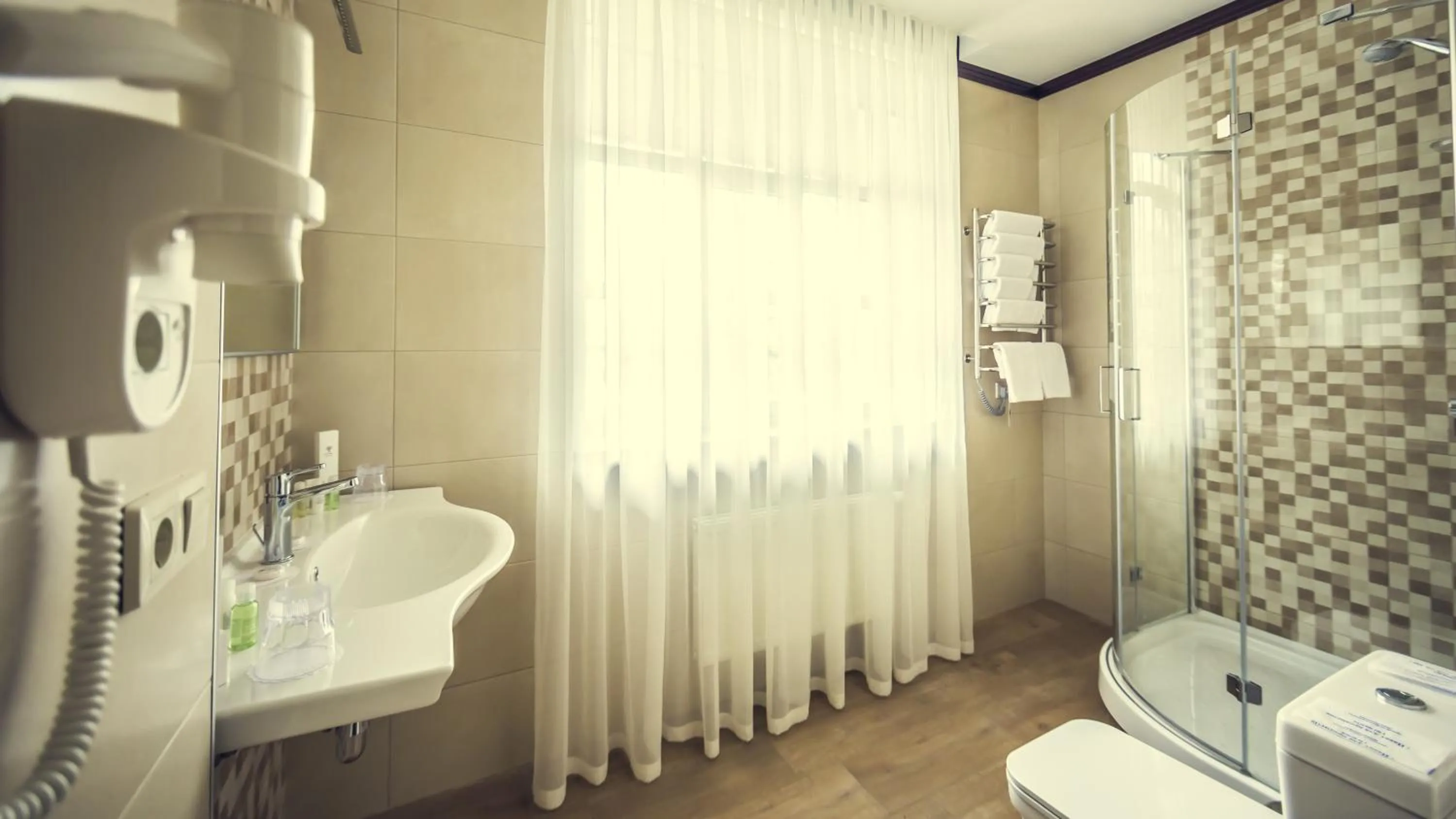 Bathroom in Park-Hotel Golosievo