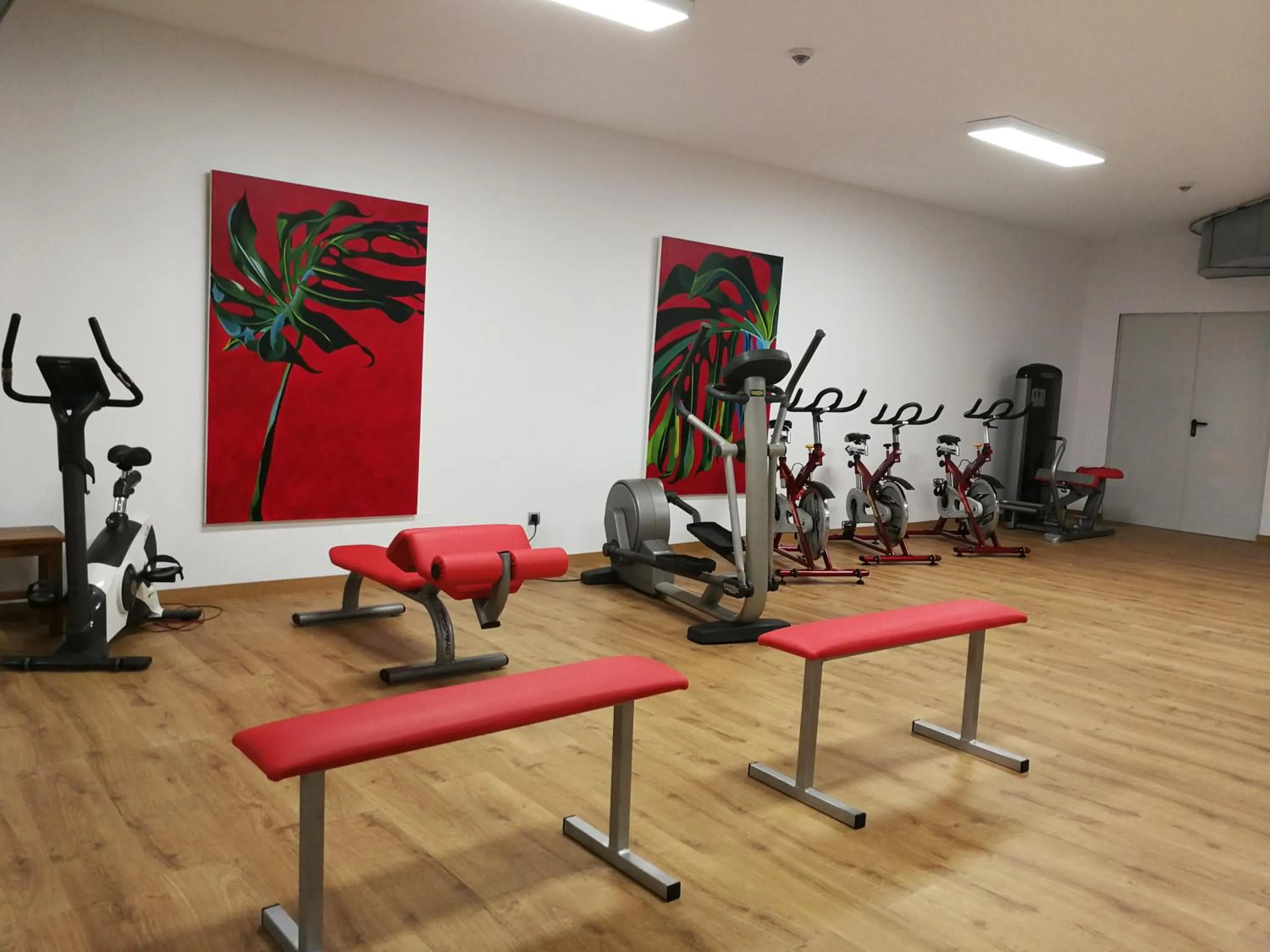 Fitness centre/facilities in Hotel Marítimo Ris con garaje