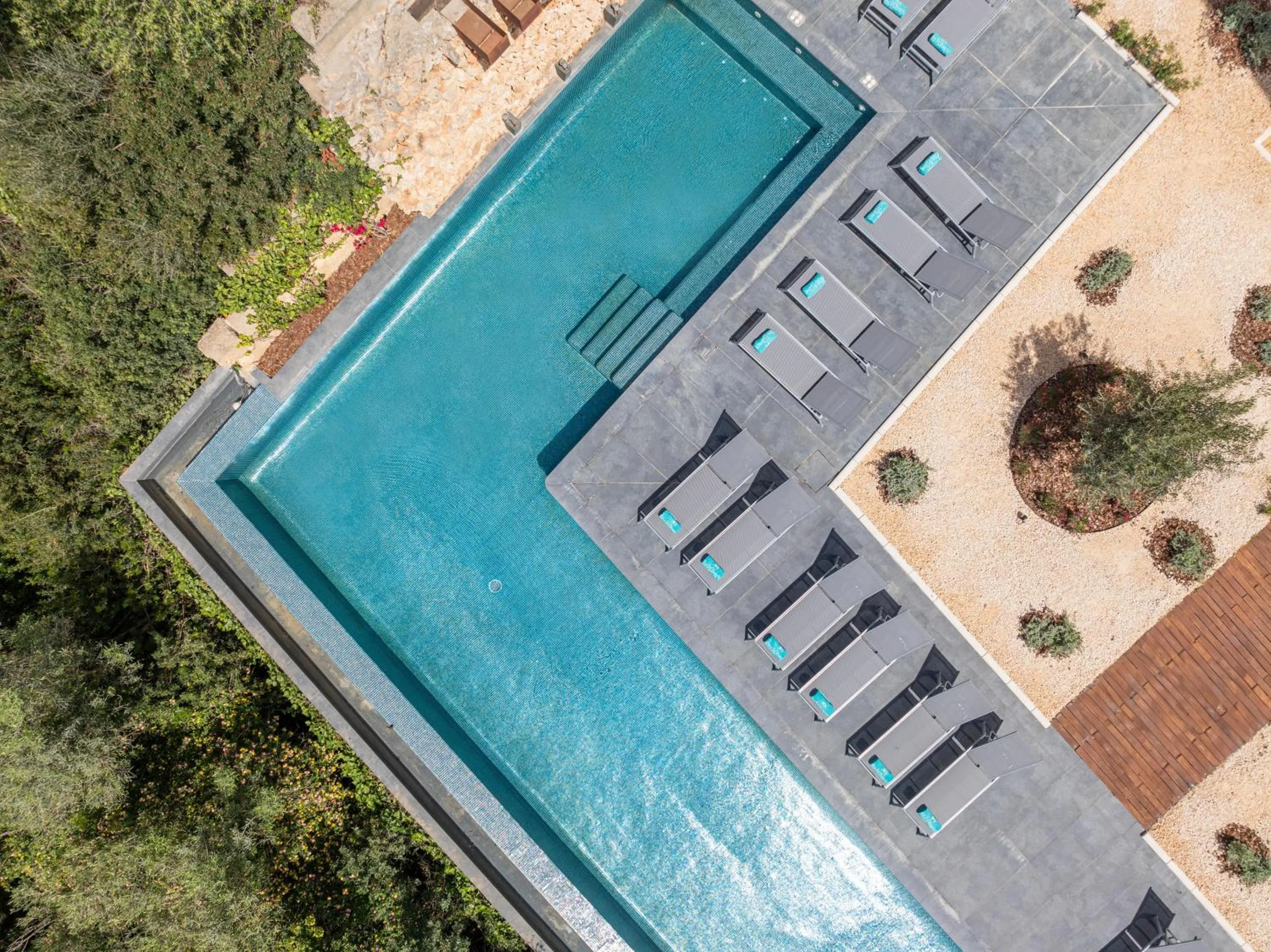 Swimming pool in MarSenses Natura Olea Hotel - Adults Only