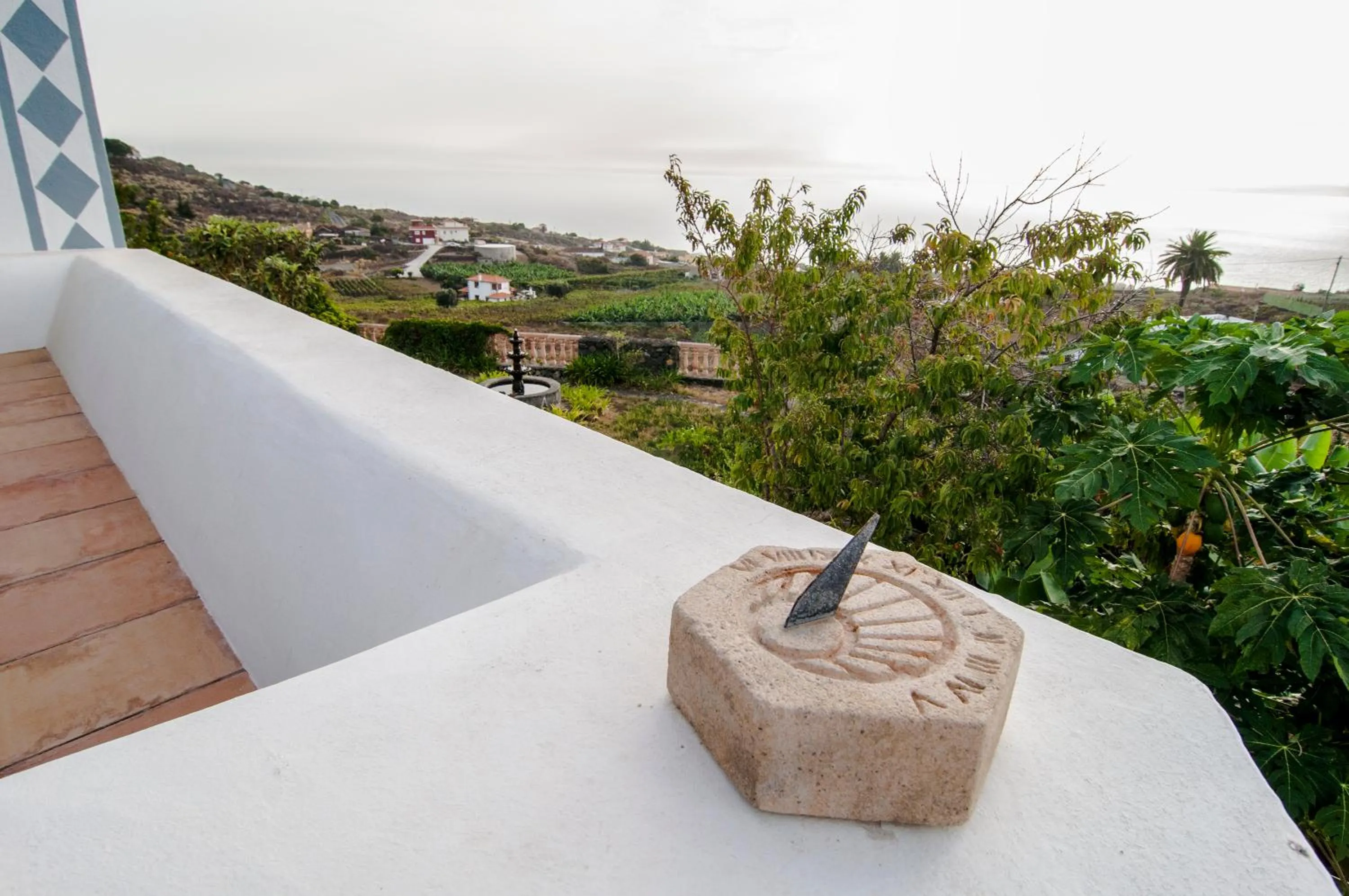 On site in Finca Arminda