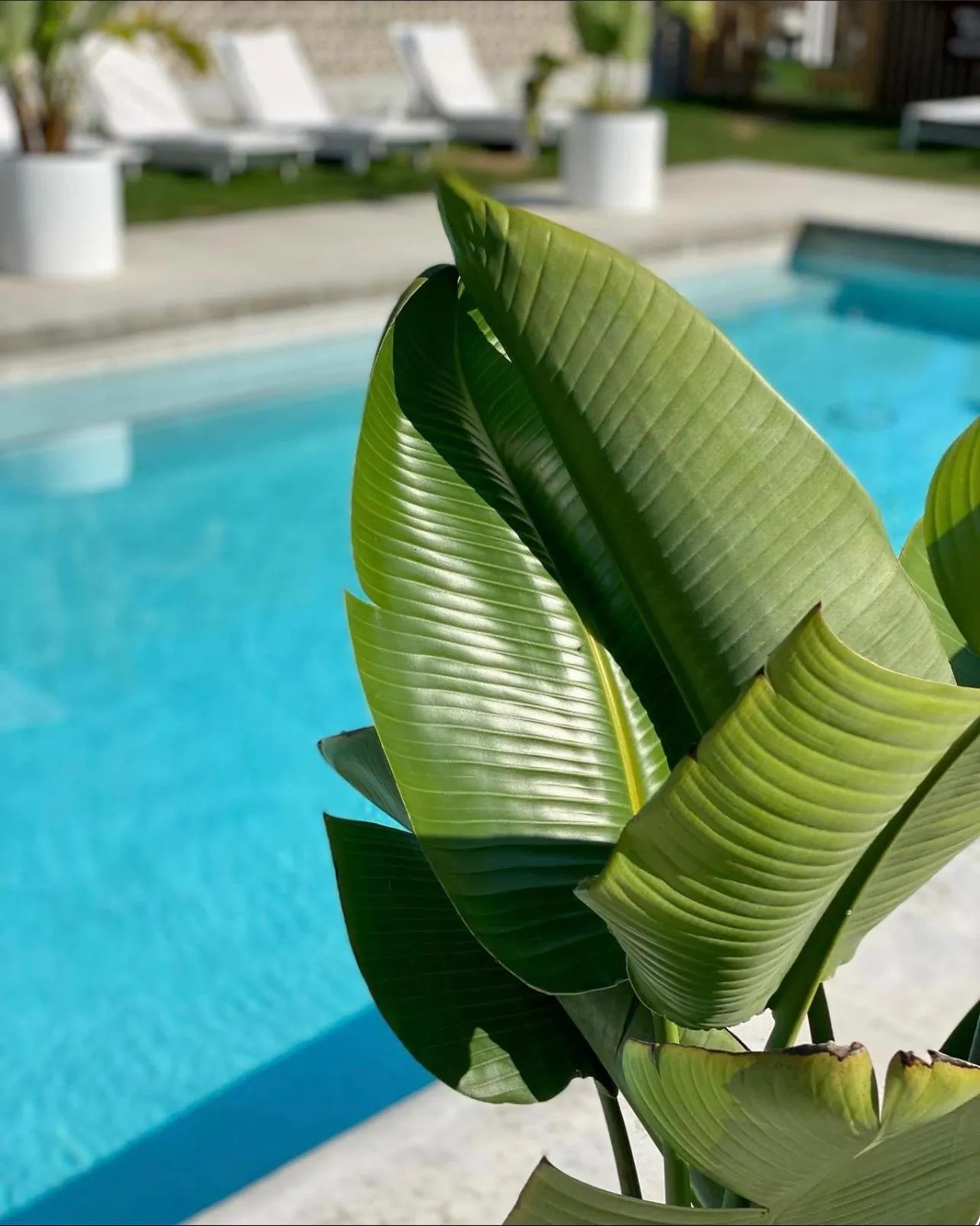 The Lakeside Prince Edward County