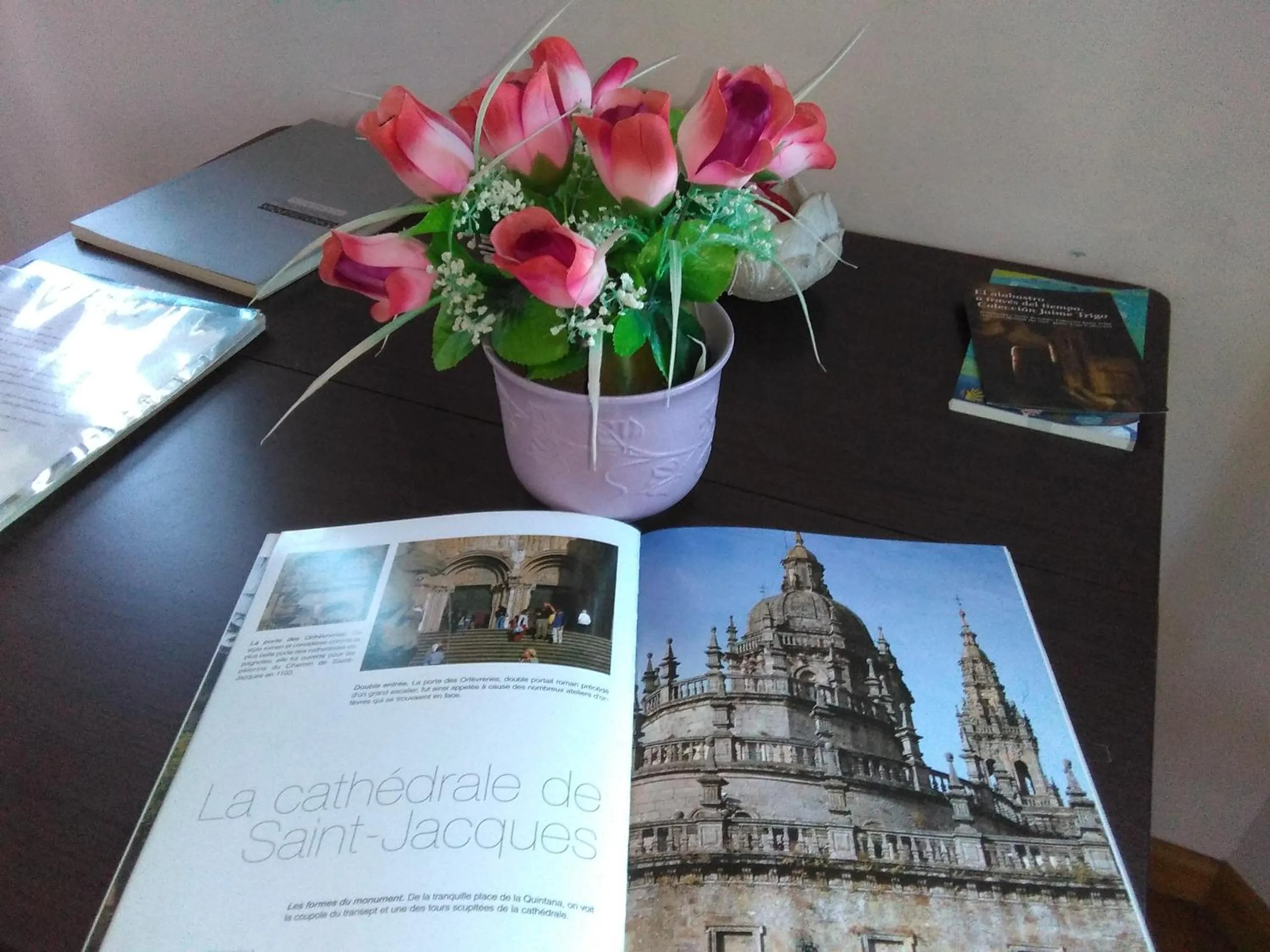 Decorative detail in Apartamentos Casa de La Inmaculada