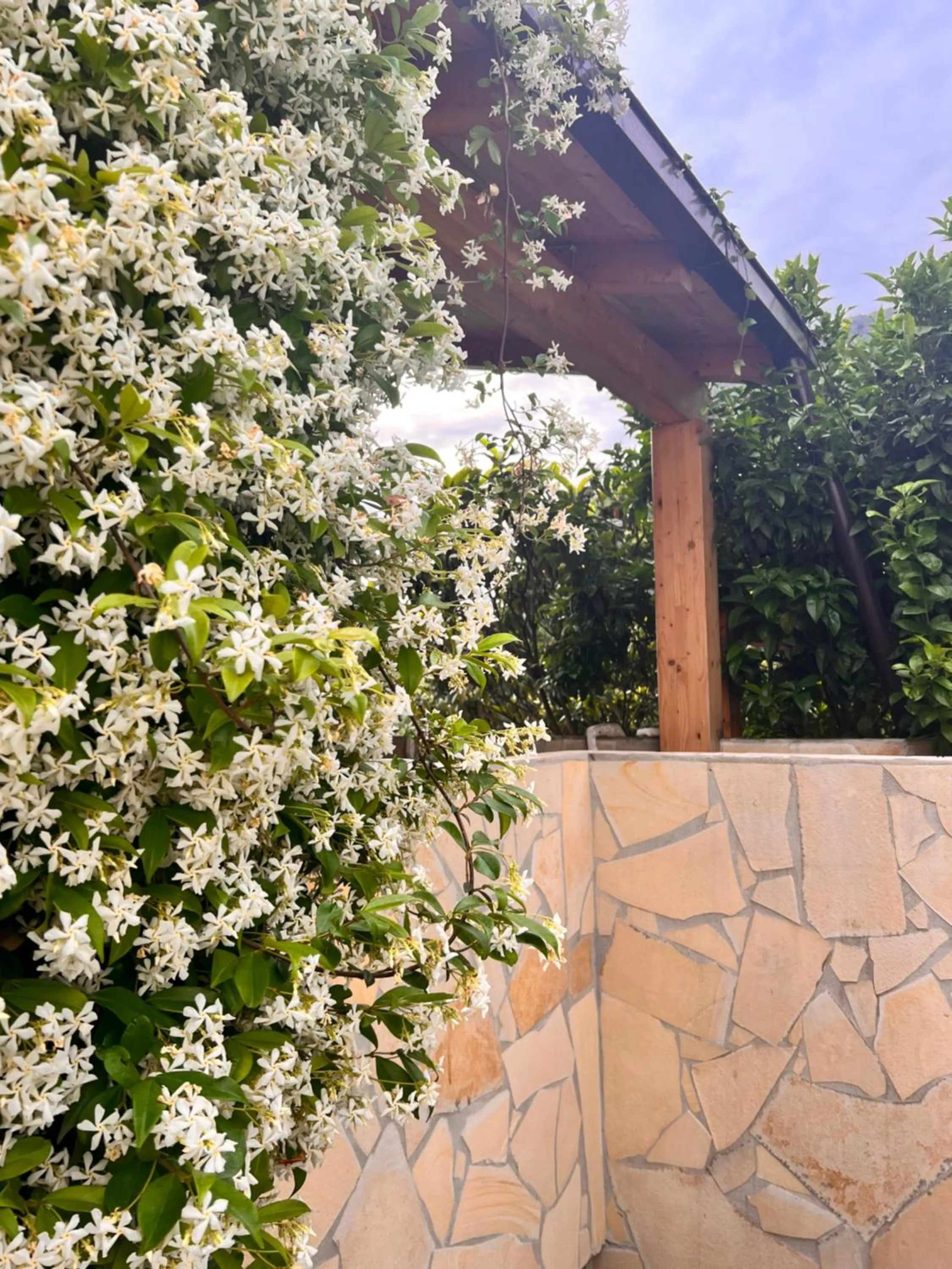 Garden in Le Tre Rose