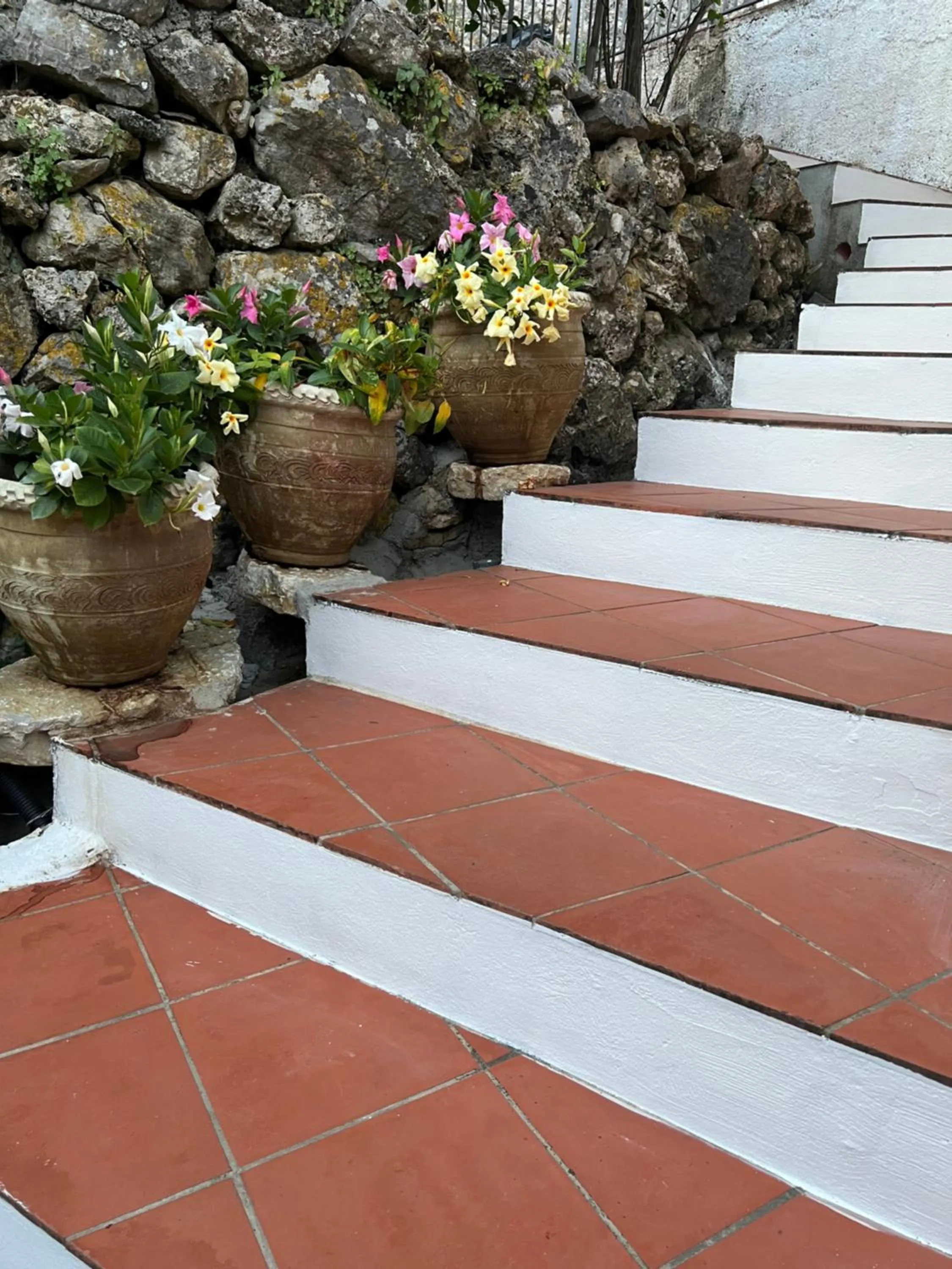 Garden in Le Tre Rose