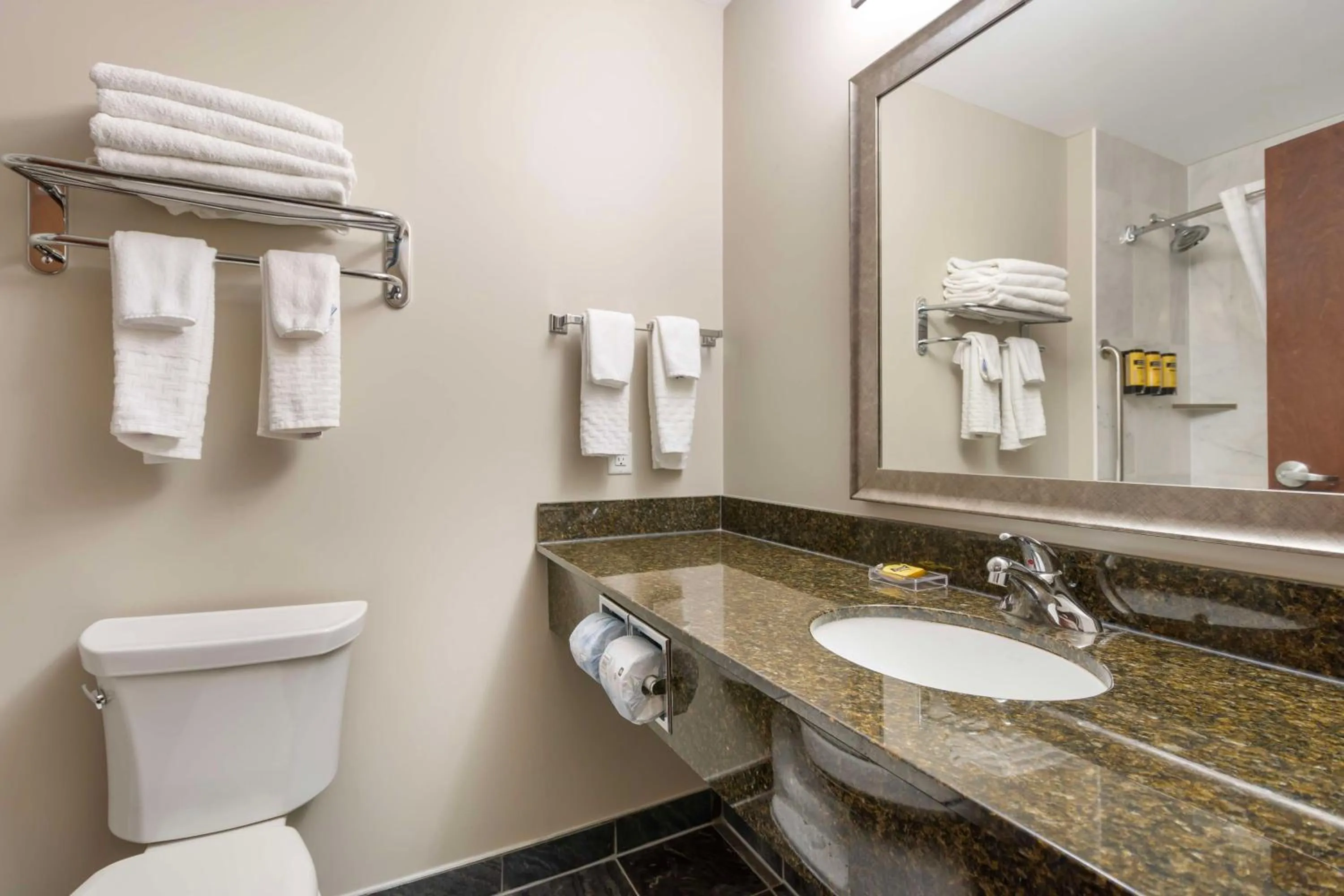 Bathroom in Best Western Plus Brandon Inn