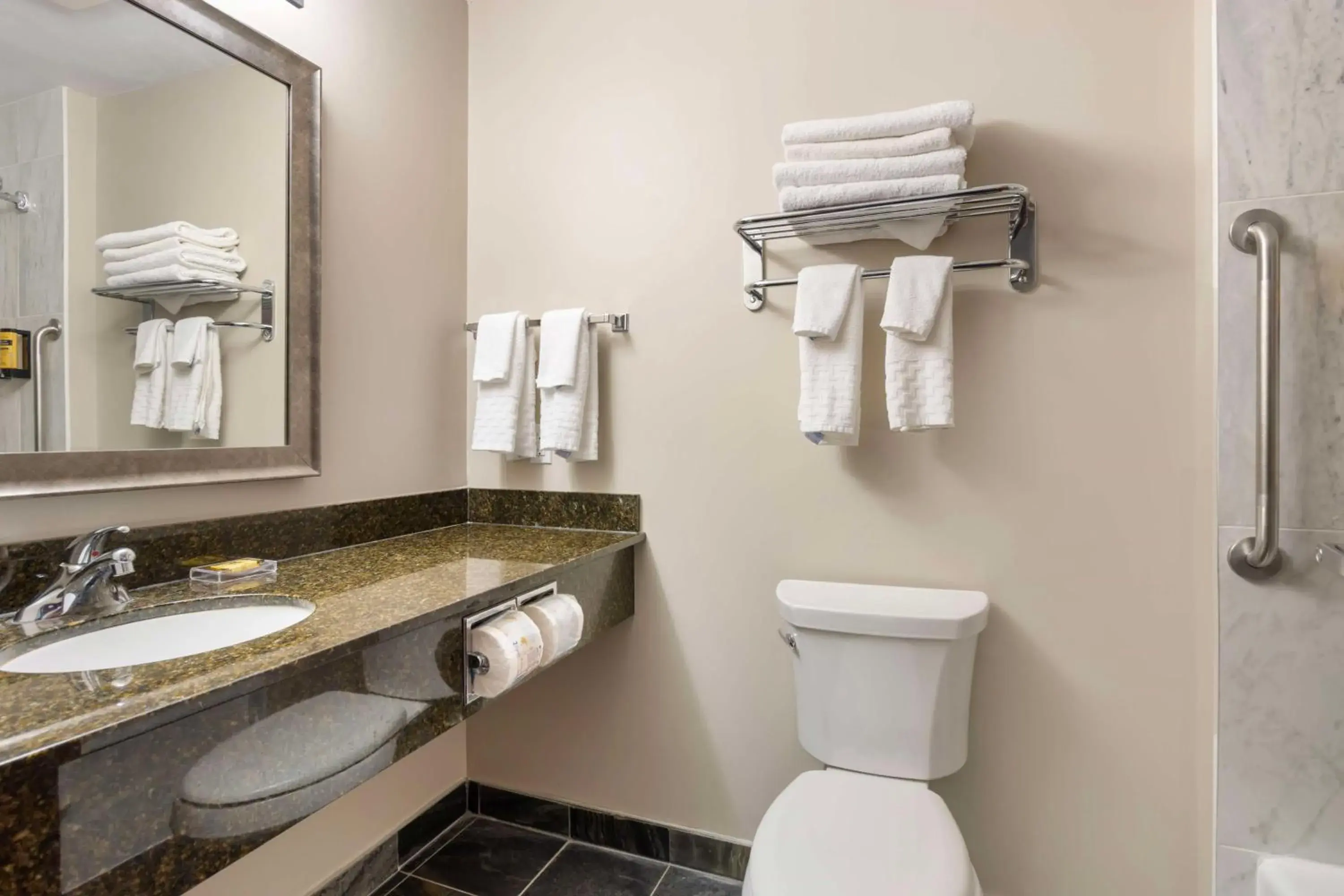 Bathroom in Best Western Plus Brandon Inn Bathroom in Best Western Plus Brandon Inn