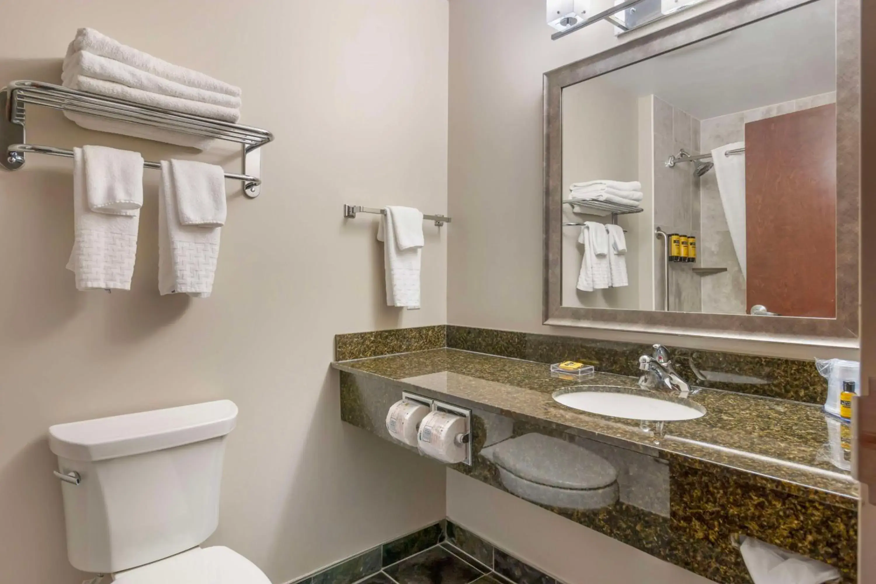 Bathroom in Best Western Plus Brandon Inn Bathroom in Best Western Plus Brandon Inn