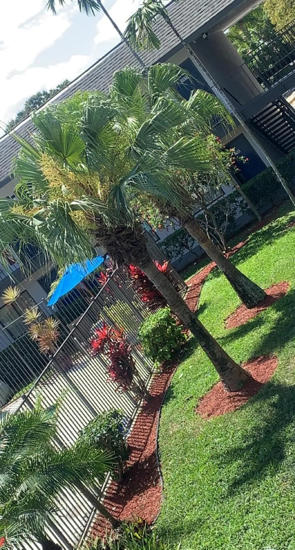 Natural landscape in Motel 6-Lantana West Palm Beach, FL