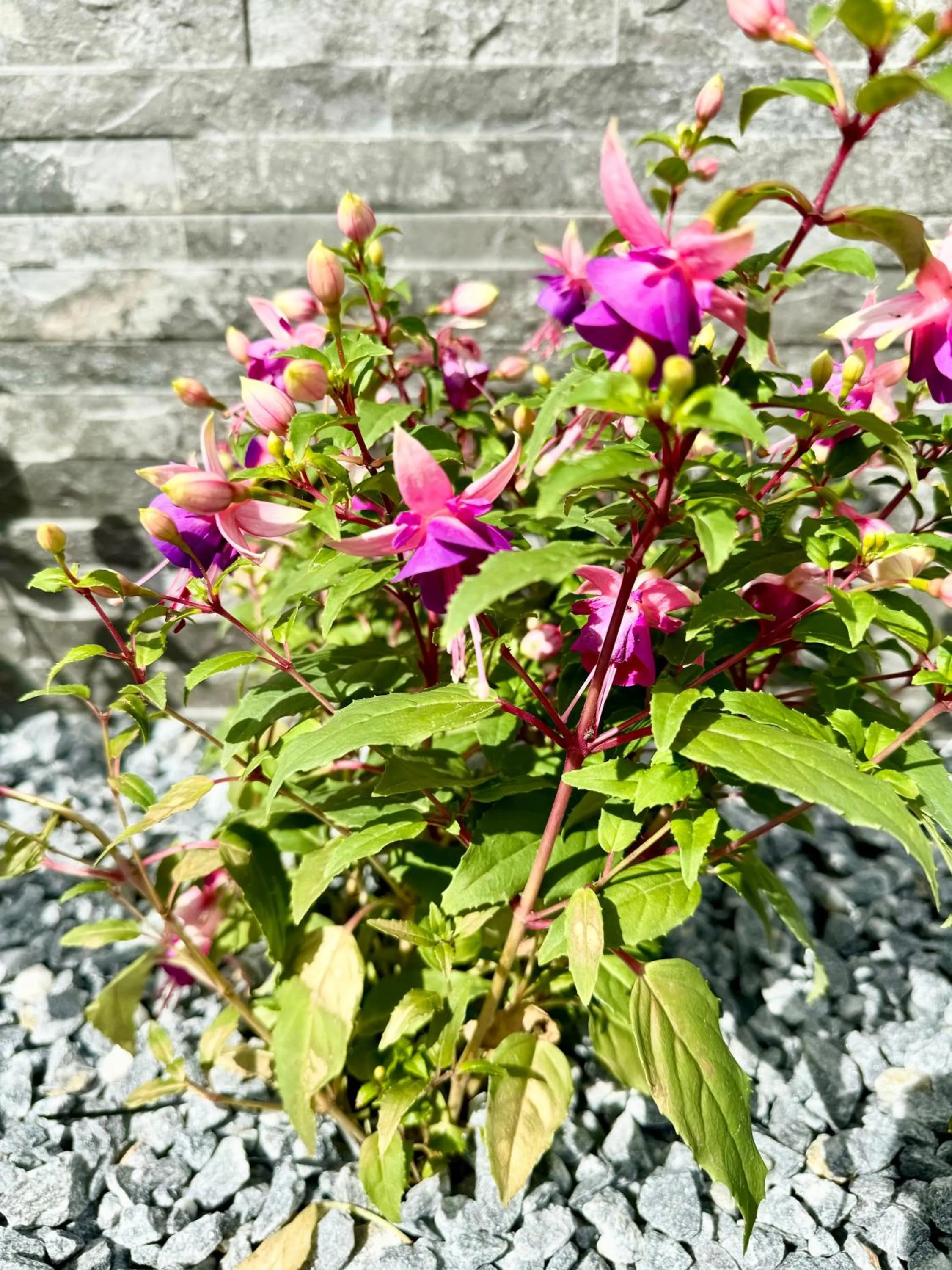 The Milton Accommodation