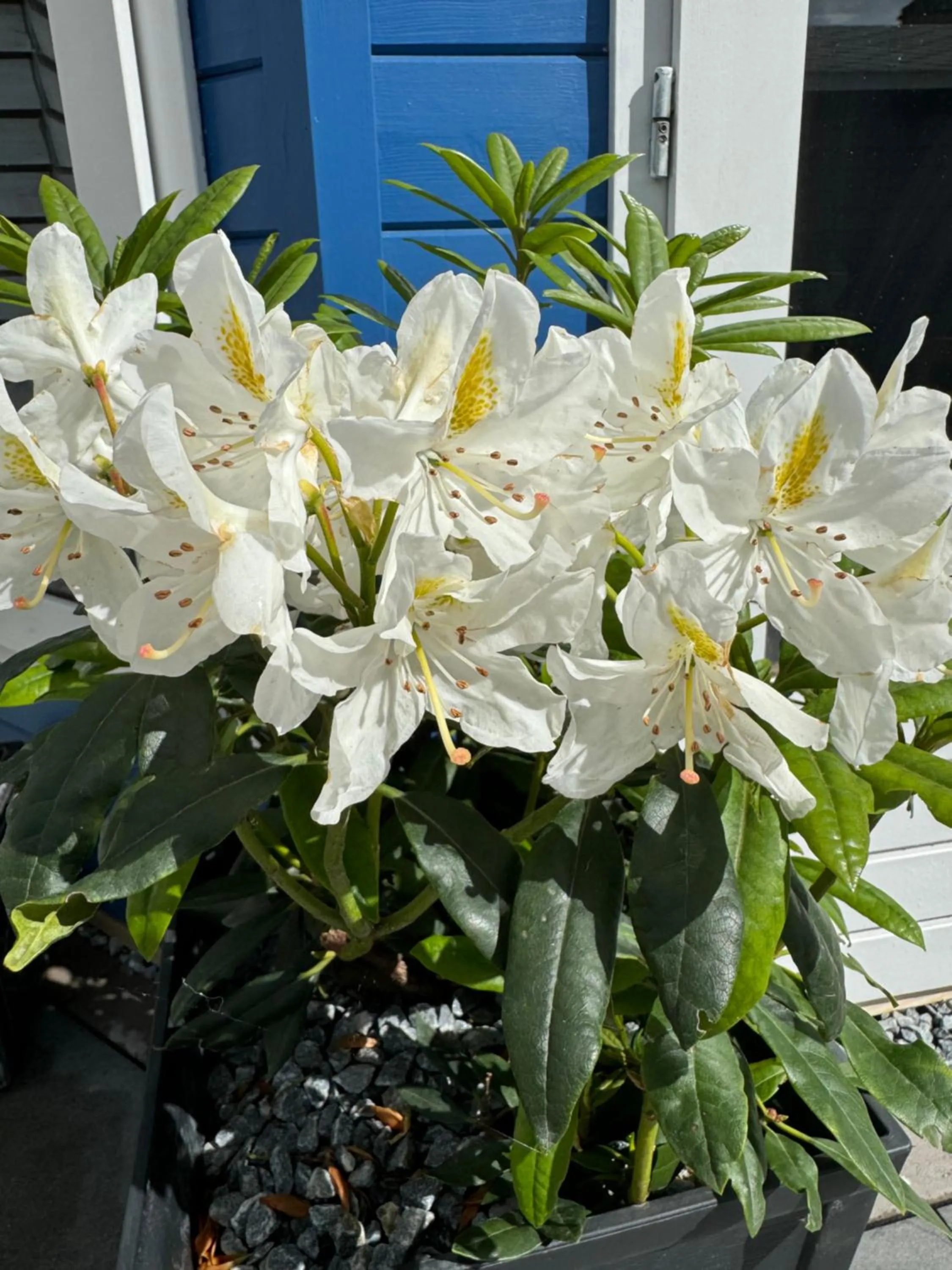 The Milton Accommodation