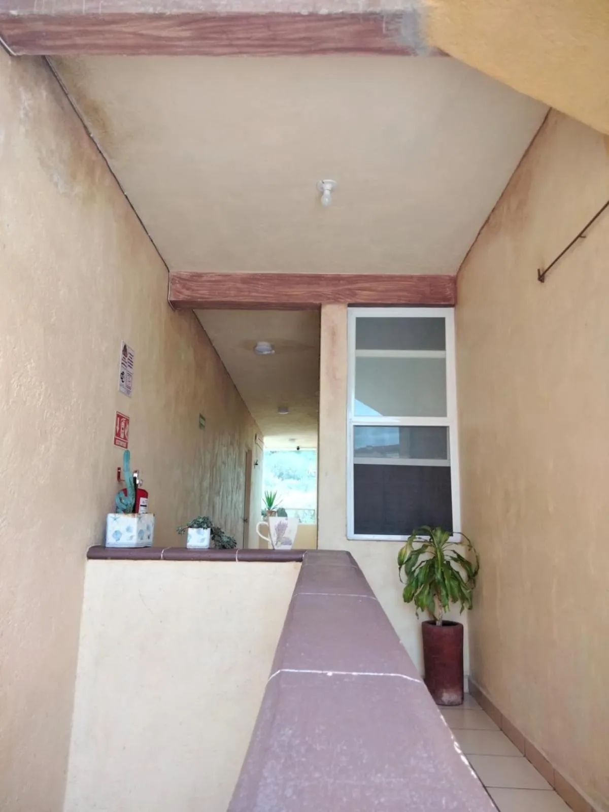 Hotel Casa del Arbol