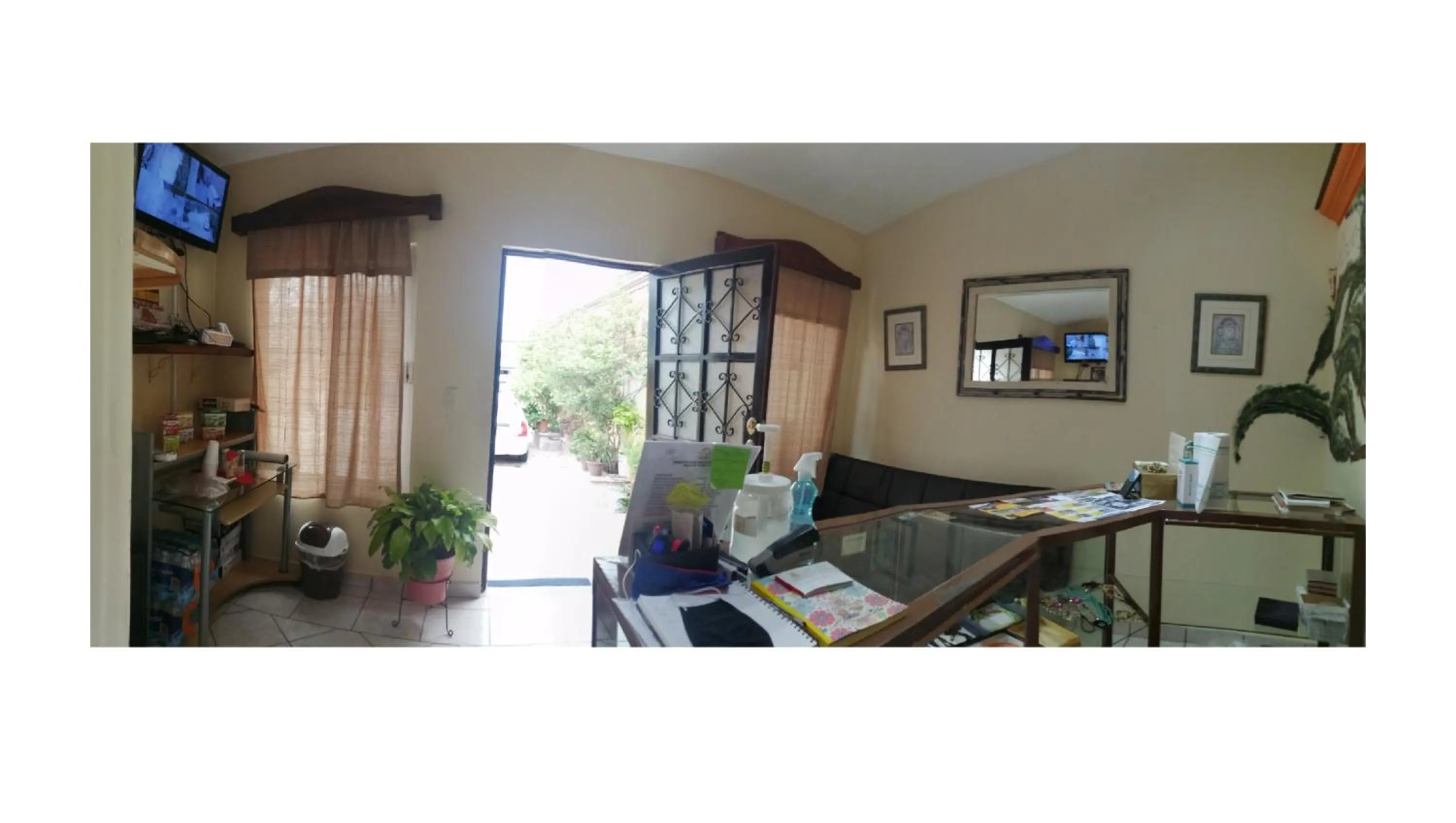 Hotel Casa del Arbol