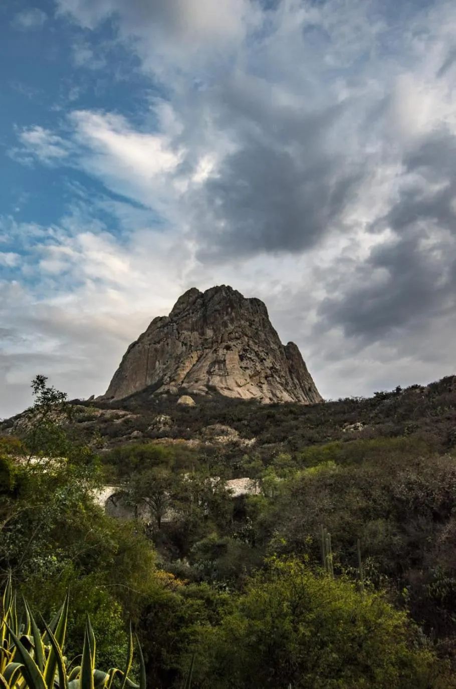 Hotel Casa del Arbol