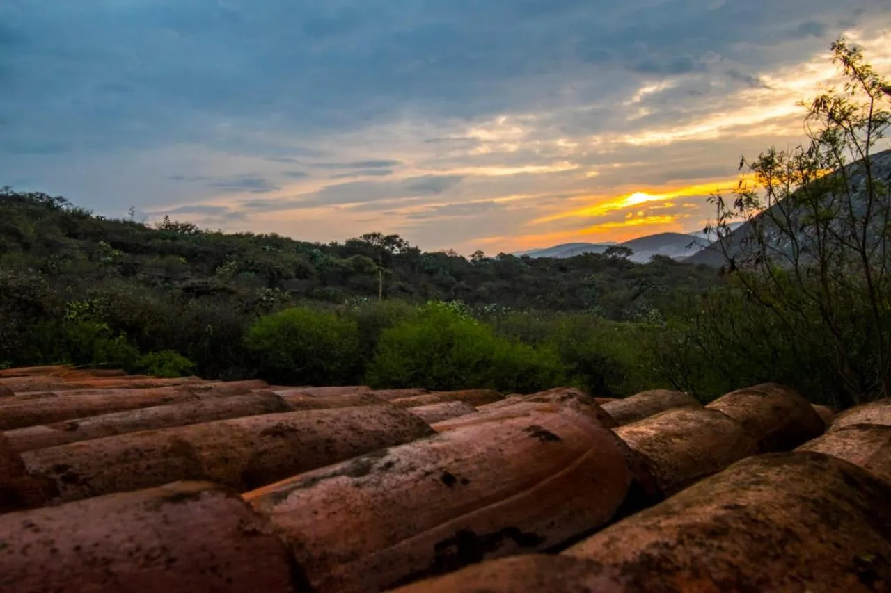 Hotel Casa del Arbol