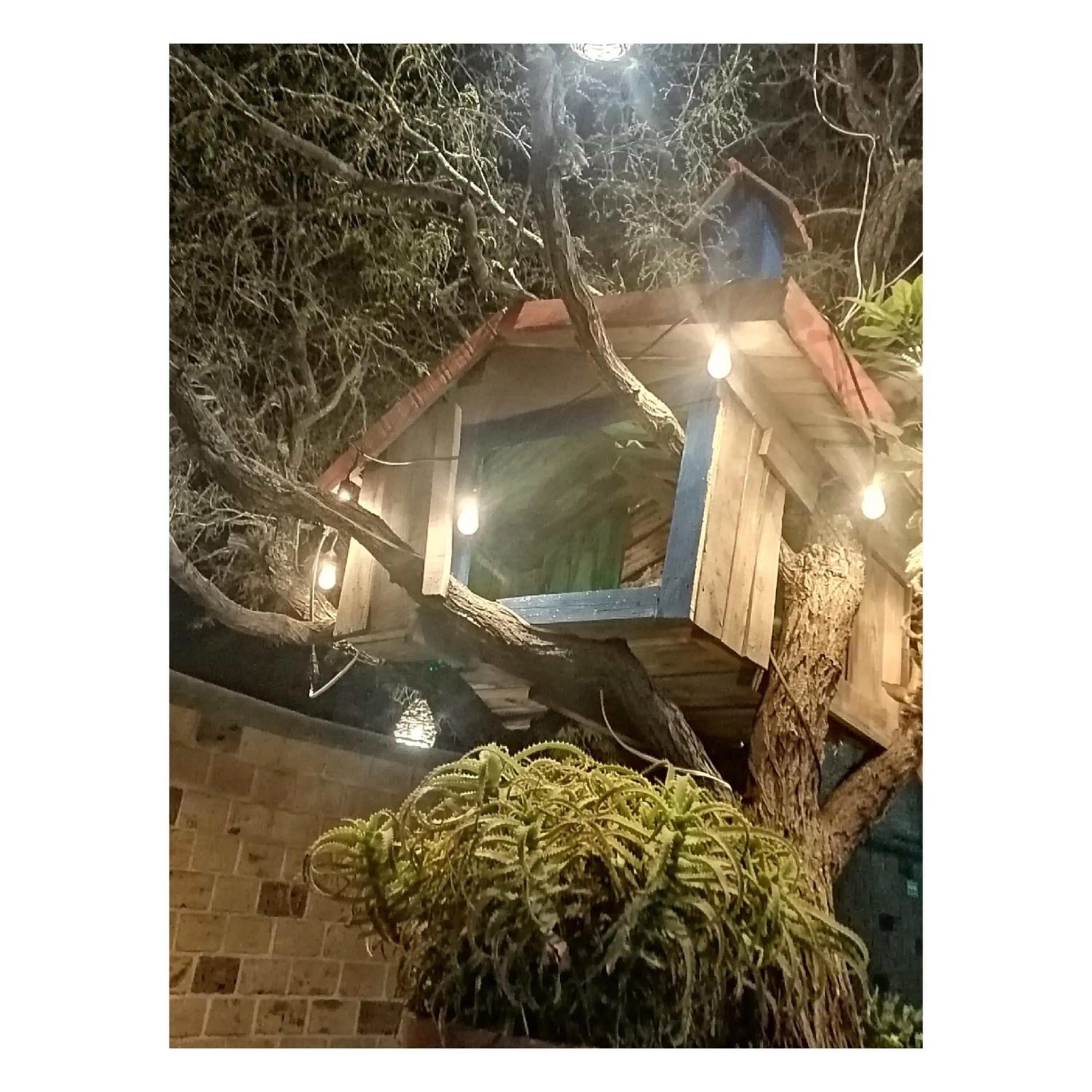 Hotel Casa del Arbol