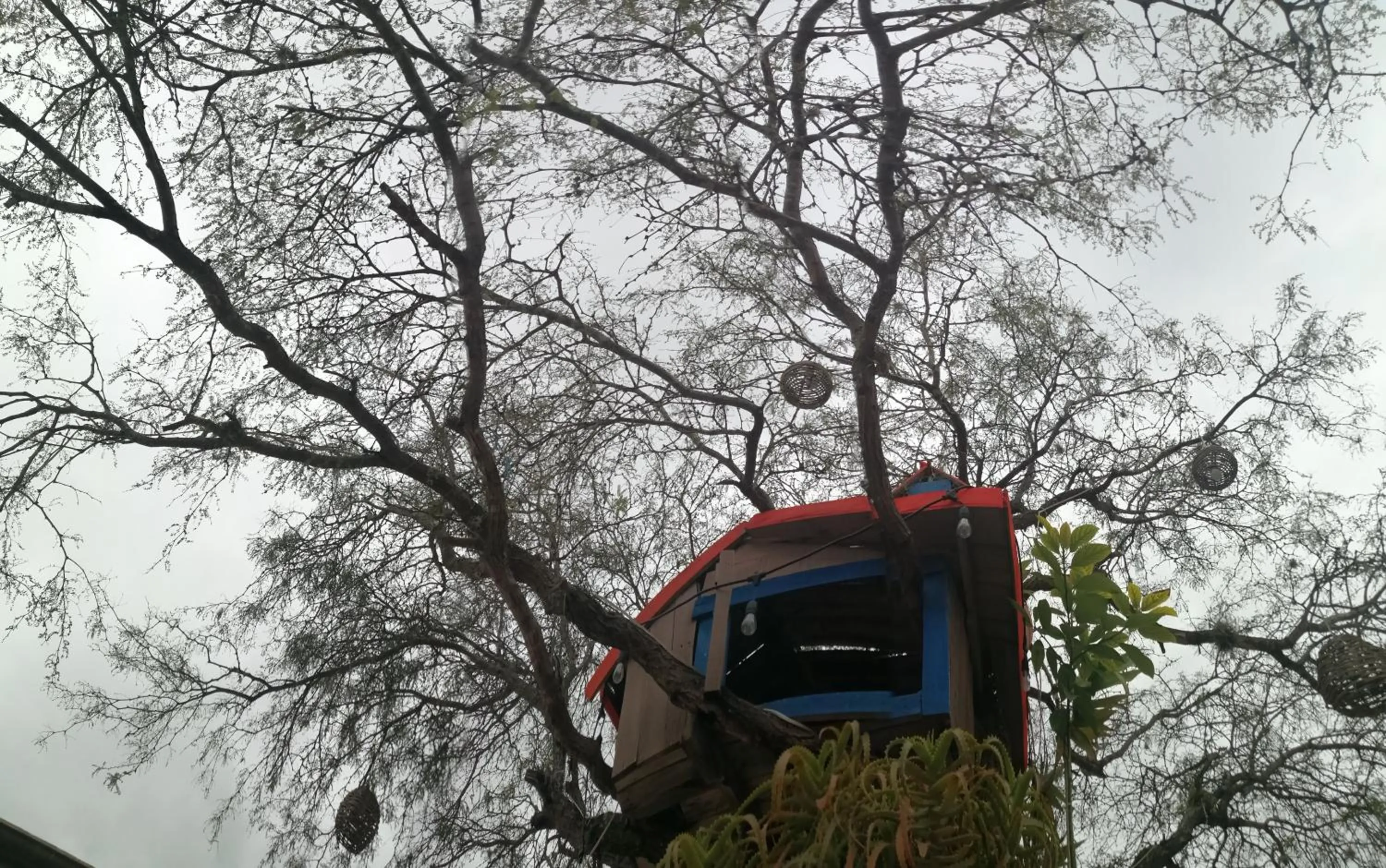 Hotel Casa del Arbol