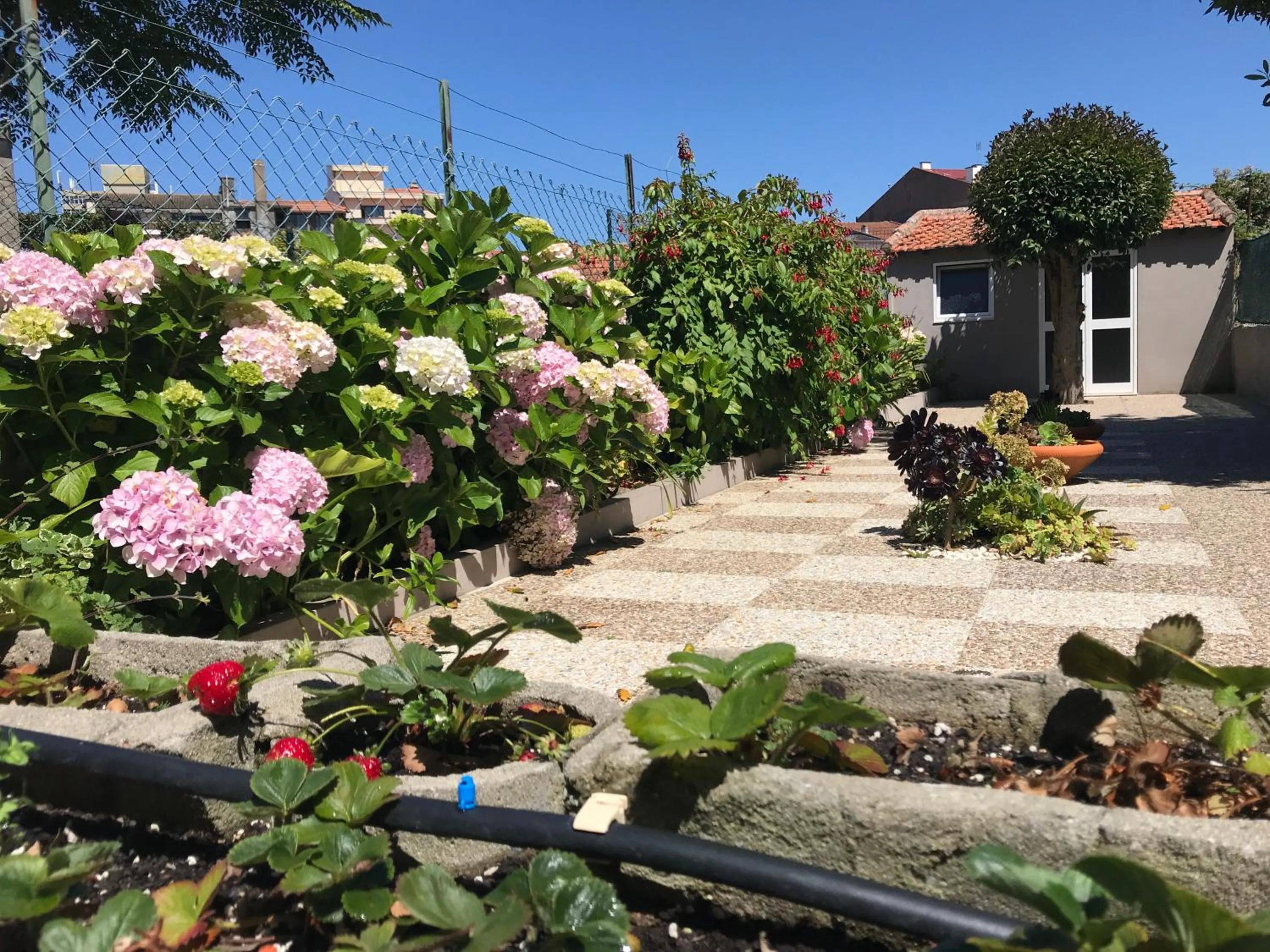 Patio in Povoa do Mar