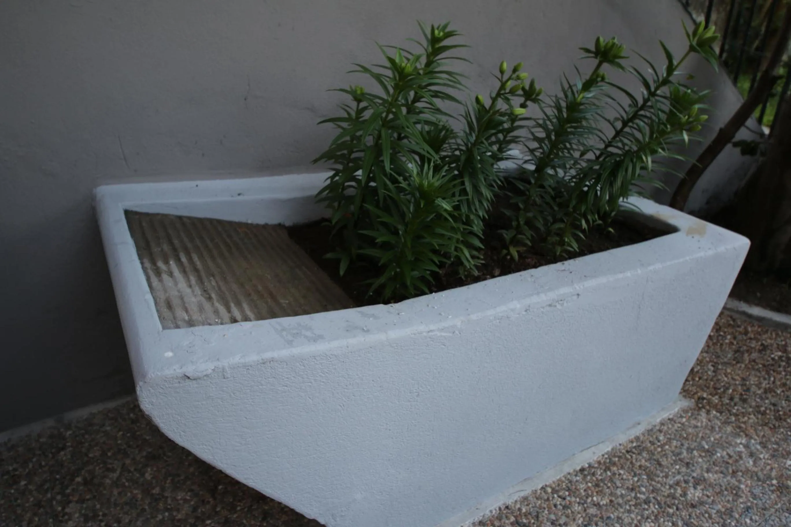 Garden in Povoa do Mar
