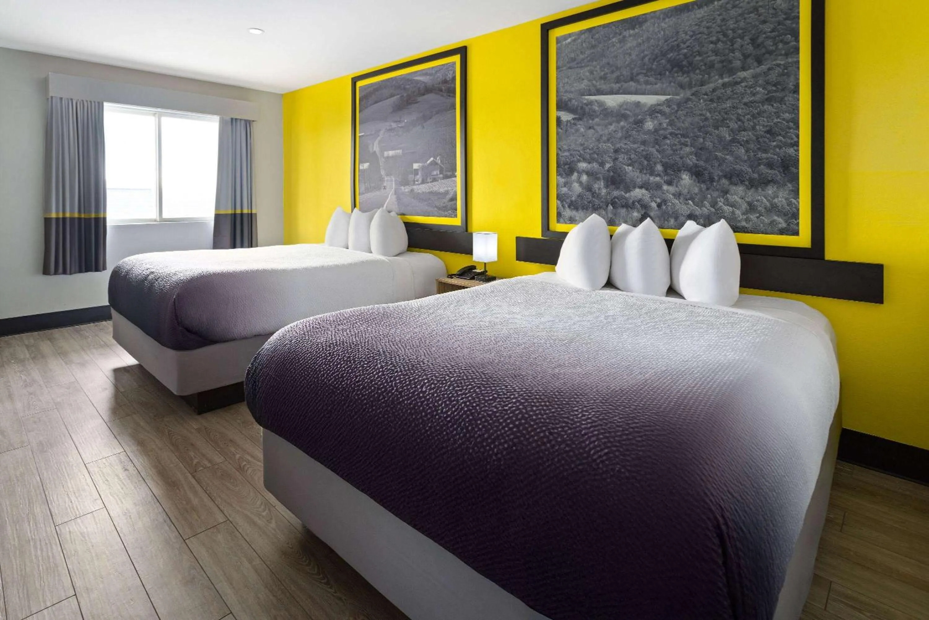 Photo of the whole room, Bed in Super 8 by Wyndham Hazleton