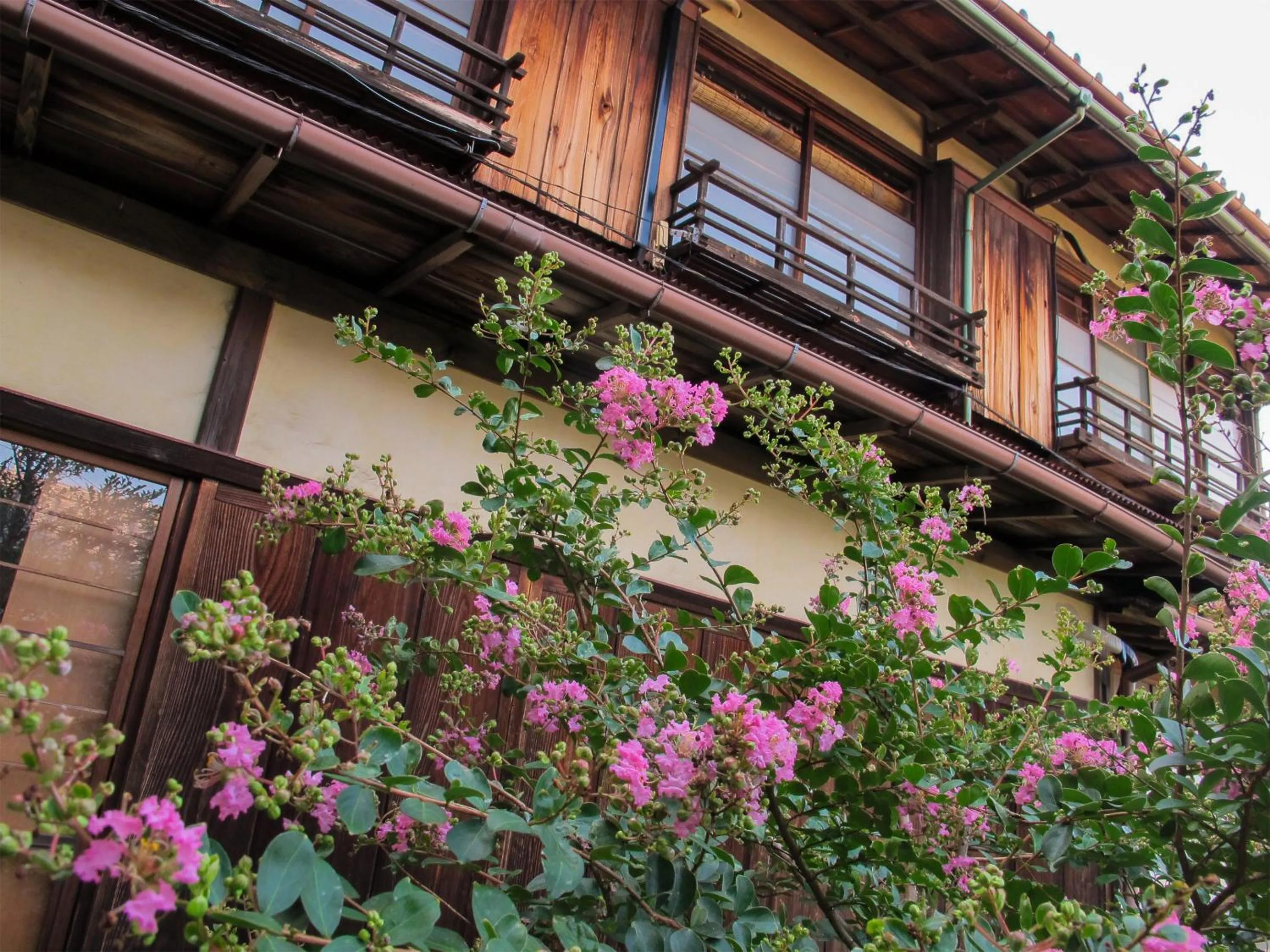 Facade/entrance in Atami Ikyuan 熱海一休庵