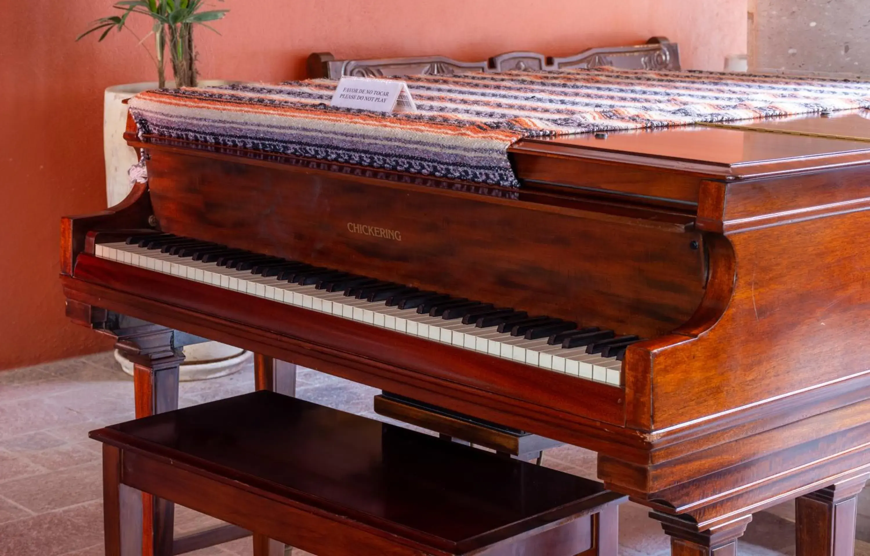 Restaurant/places to eat in Hotel Casa Primavera Boutique & Spa Restaurant/places to eat in Hotel Casa Primavera Boutique & Spa