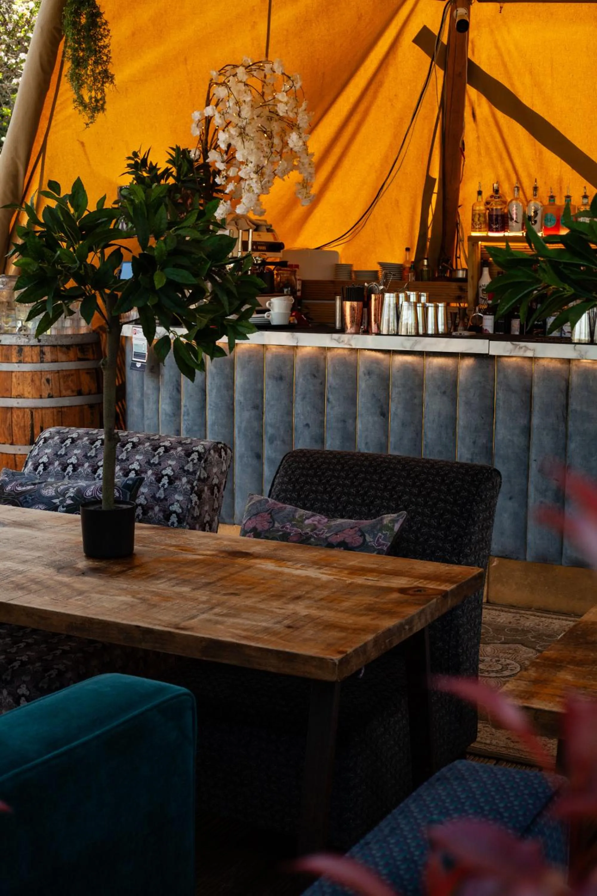 Garden in The Dial House