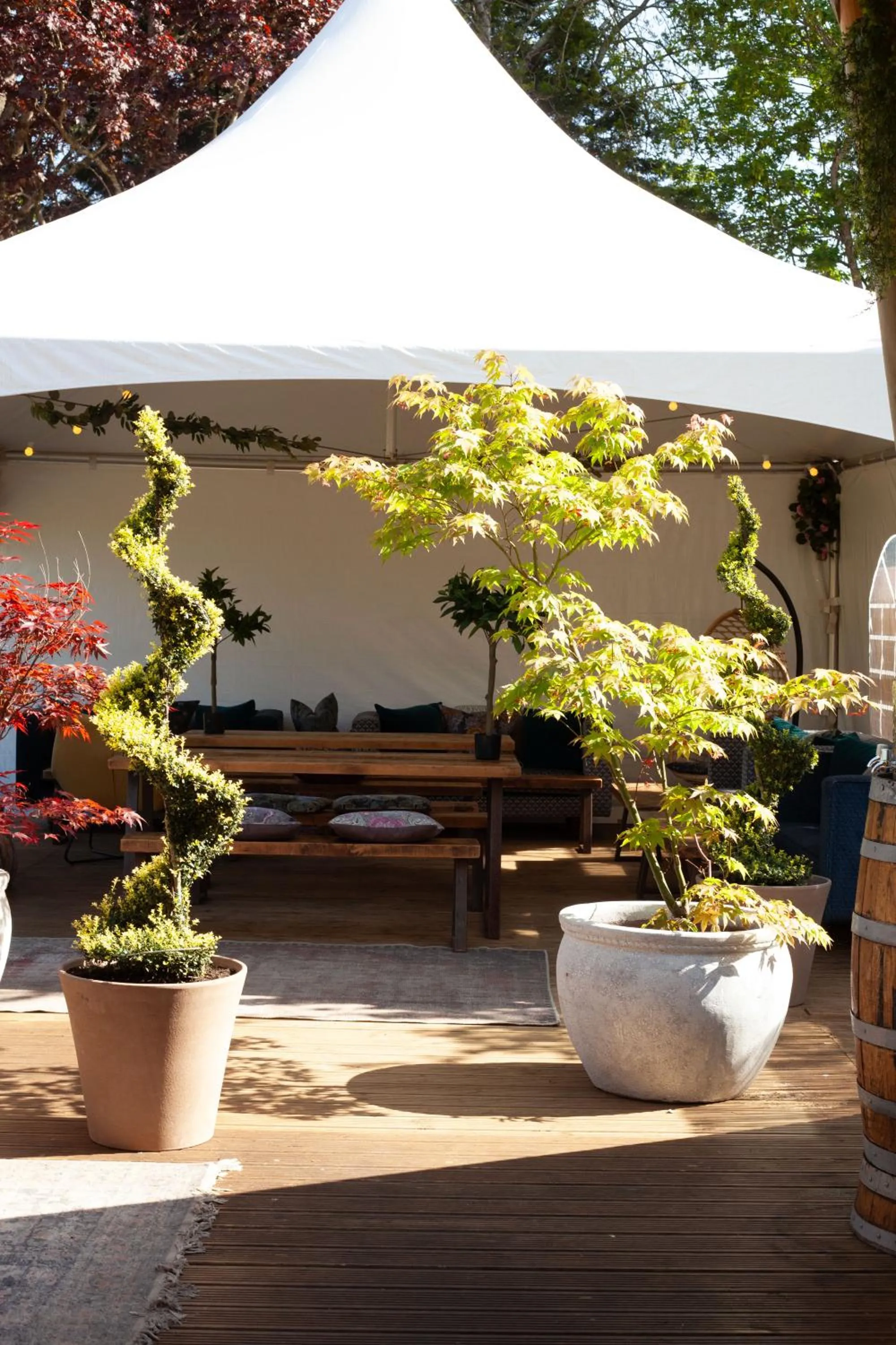 Garden in The Dial House