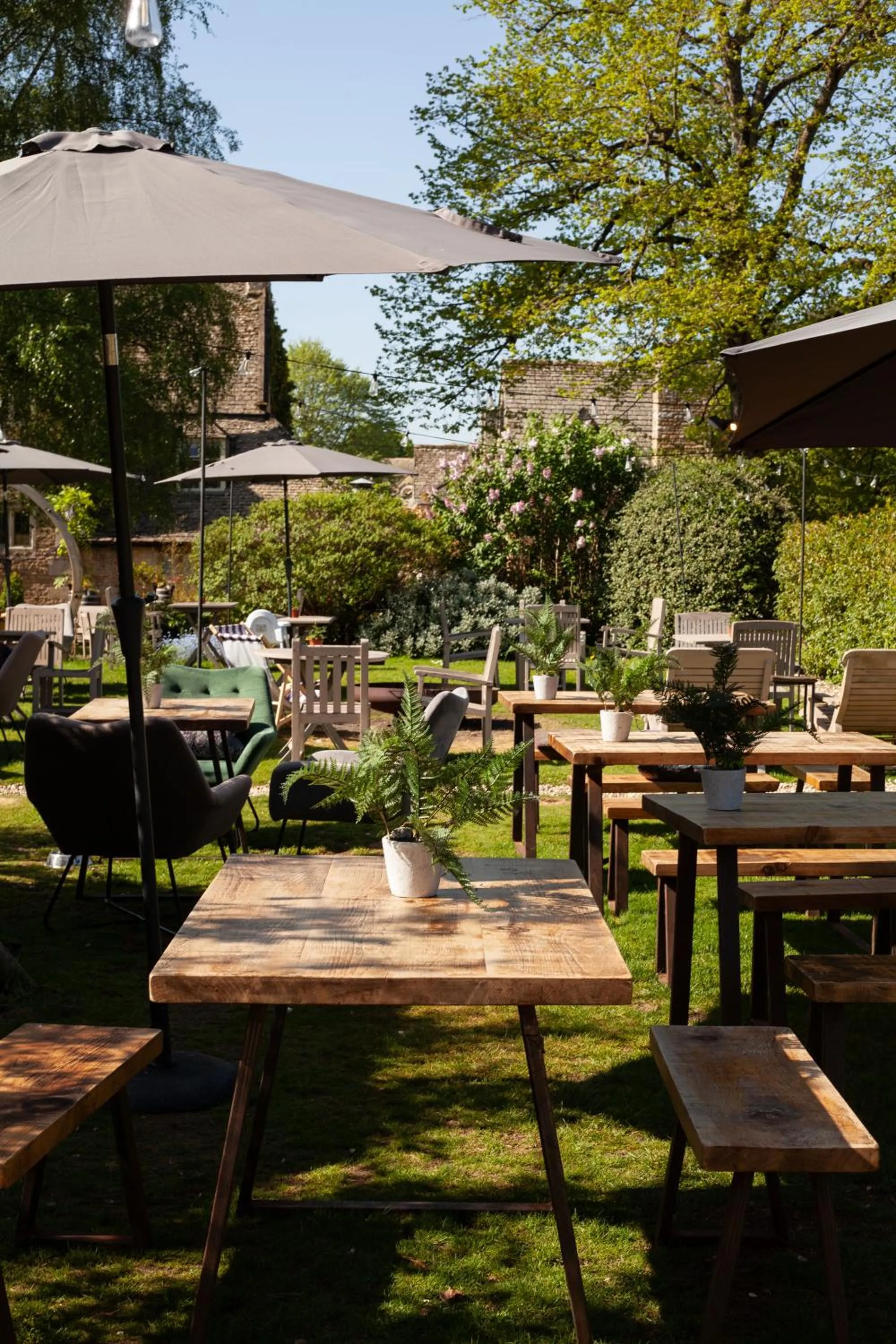 Garden in The Dial House