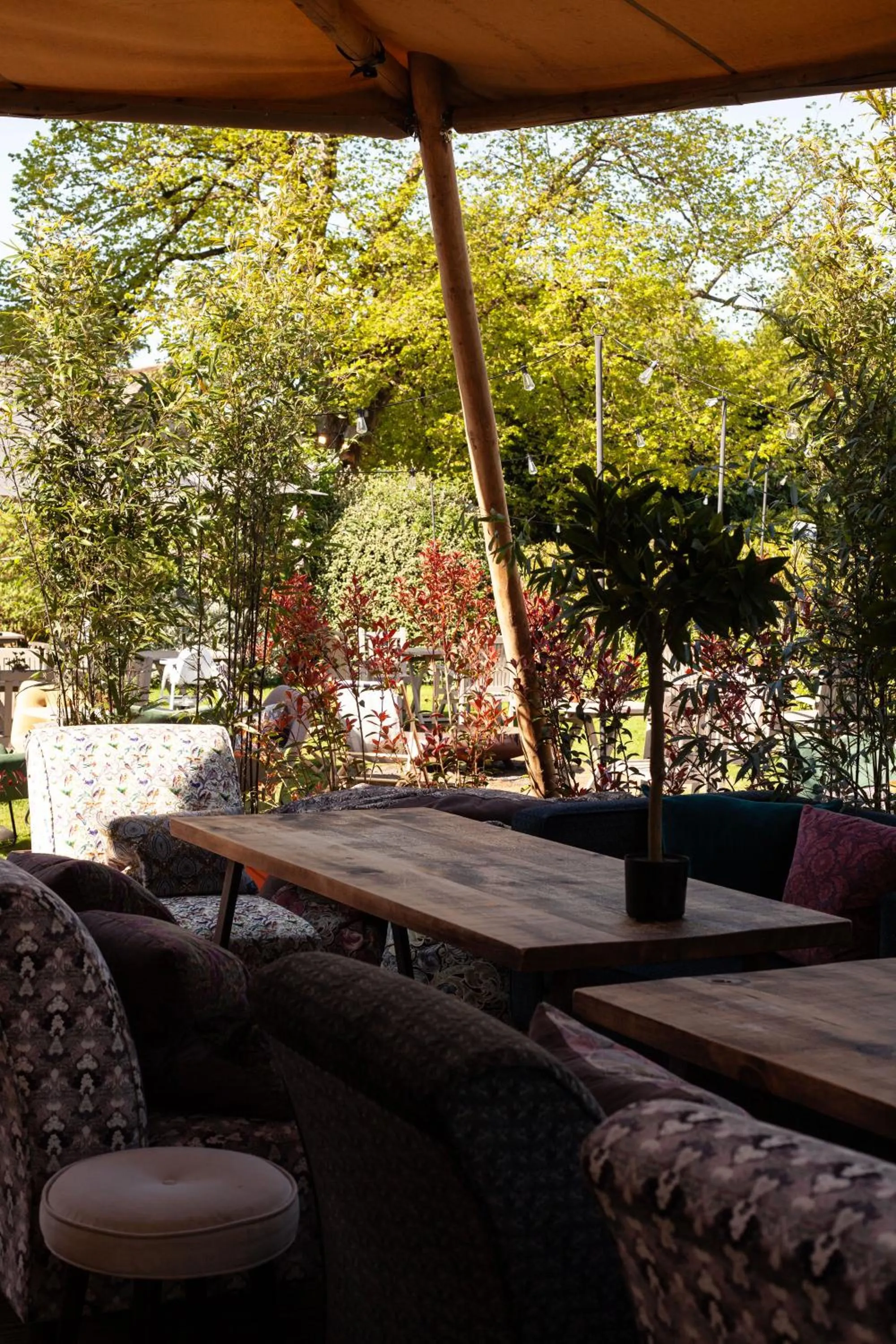 Garden in The Dial House