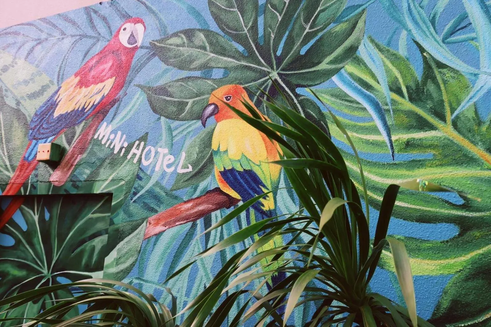 Garden in Mini Central