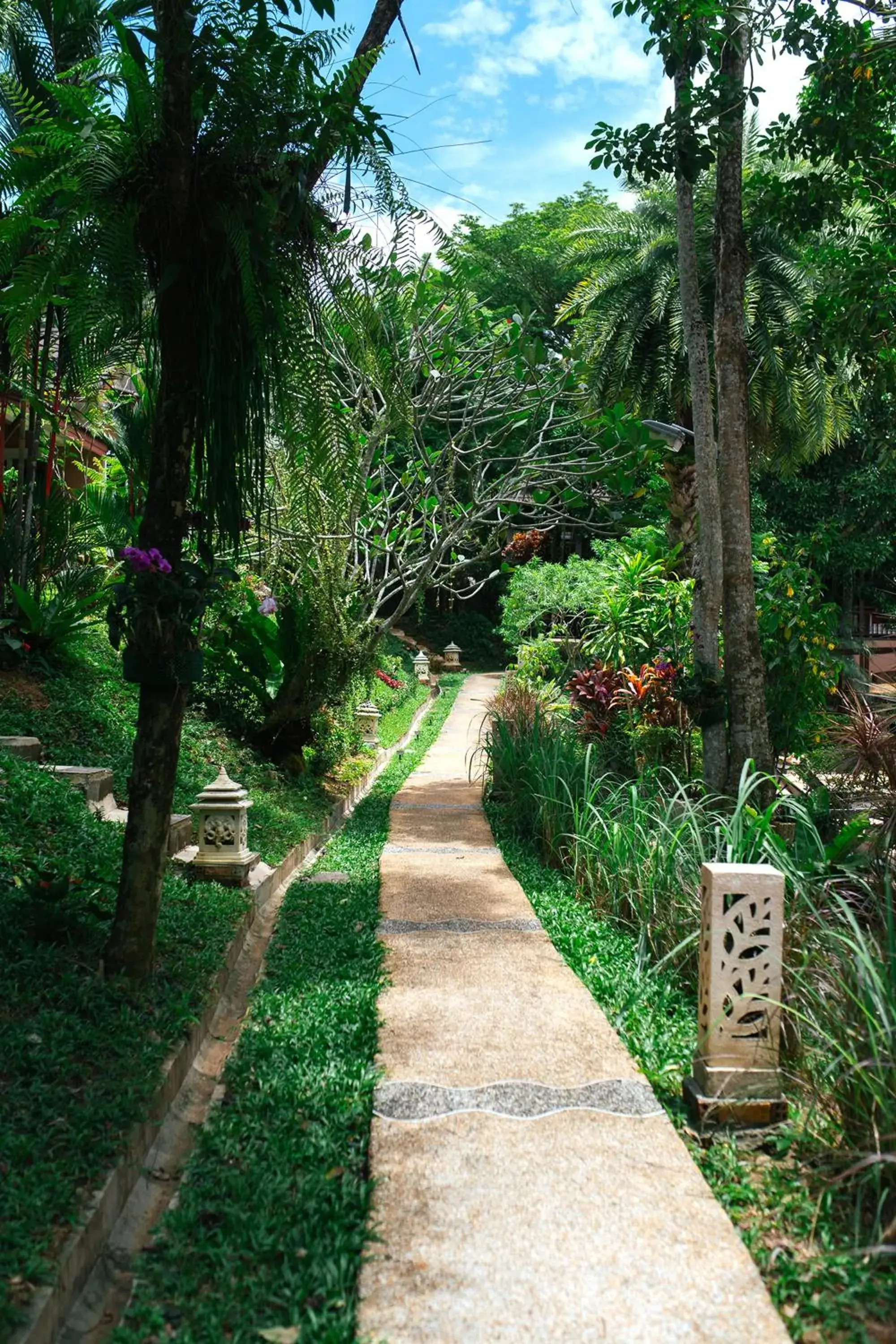 Garden view in Thai Modern Resort & Spa "Newly Renovated" Garden view in Thai Modern Resort & Spa "Newly Renovated"