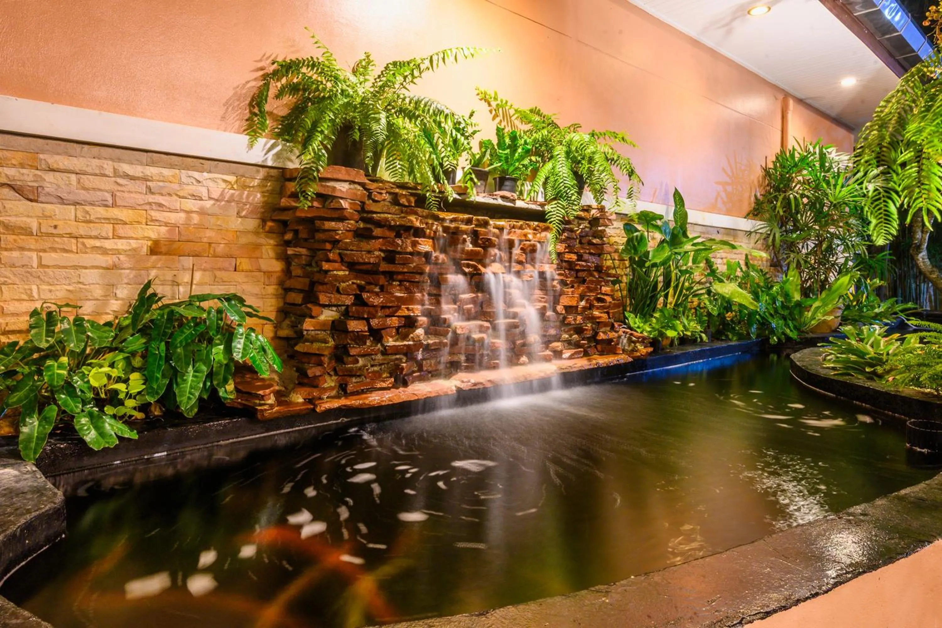 Area and facilities in Thai Modern Resort & Spa "Newly Renovated"