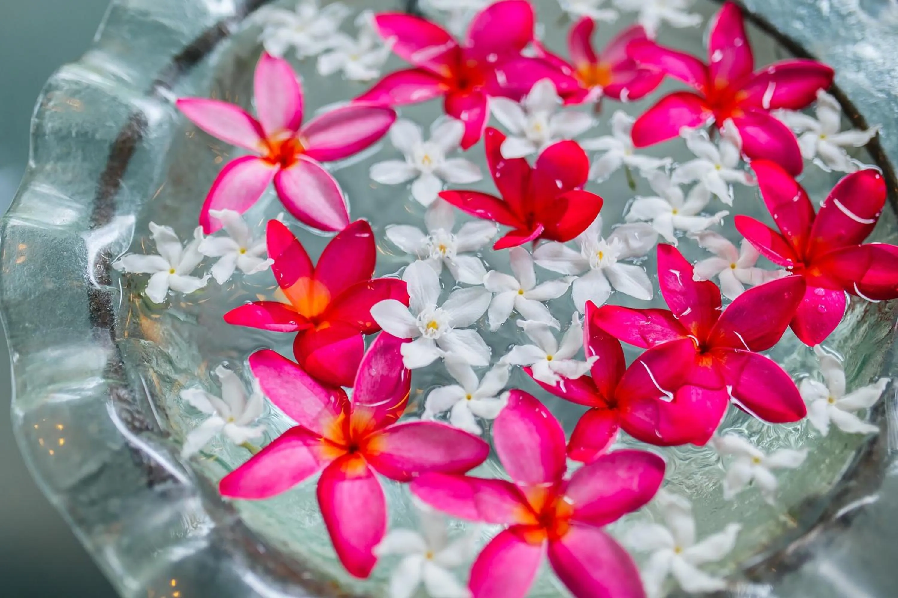 Lobby or reception in Thai Modern Resort & Spa "Newly Renovated"