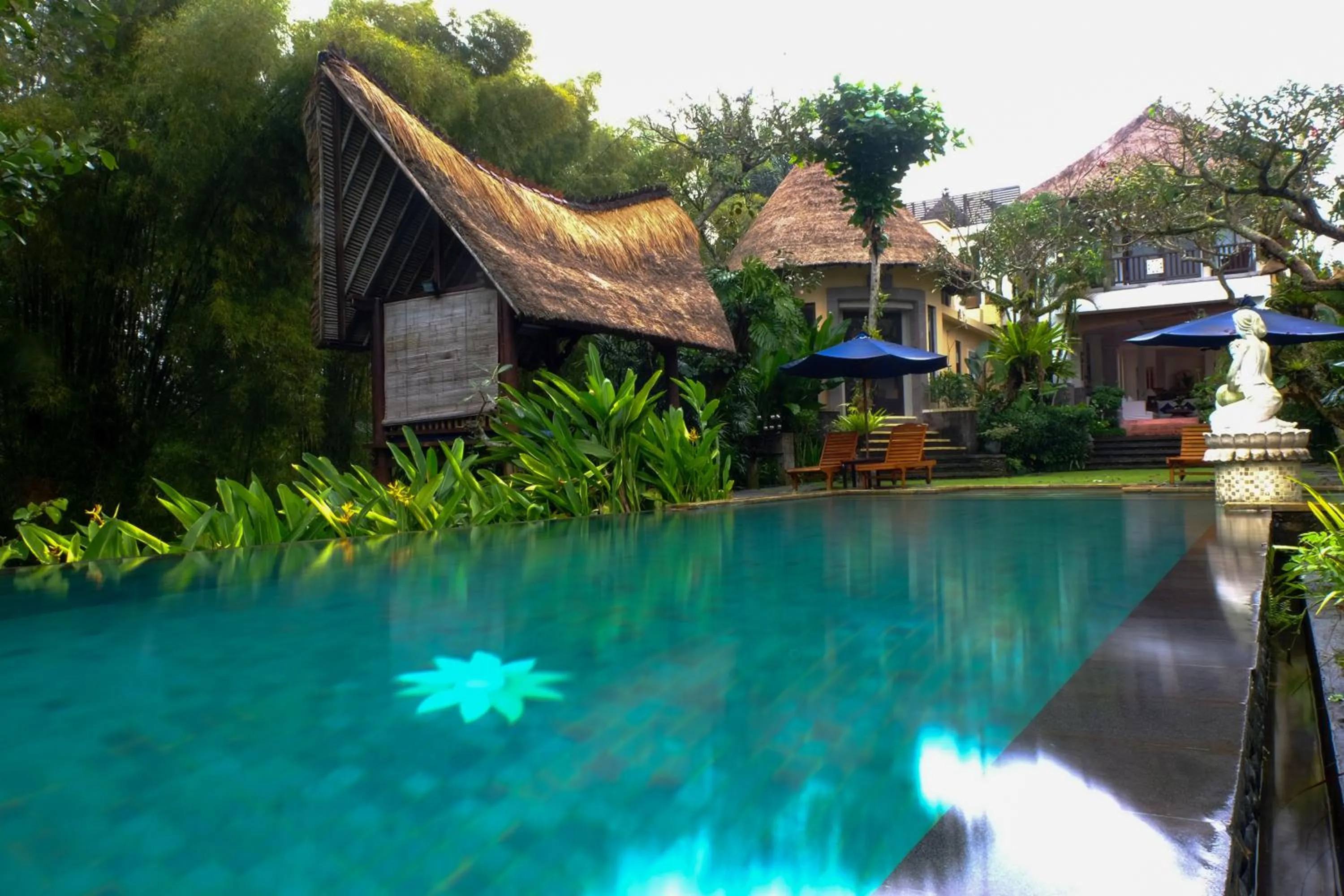 Garden in Villa Sebali