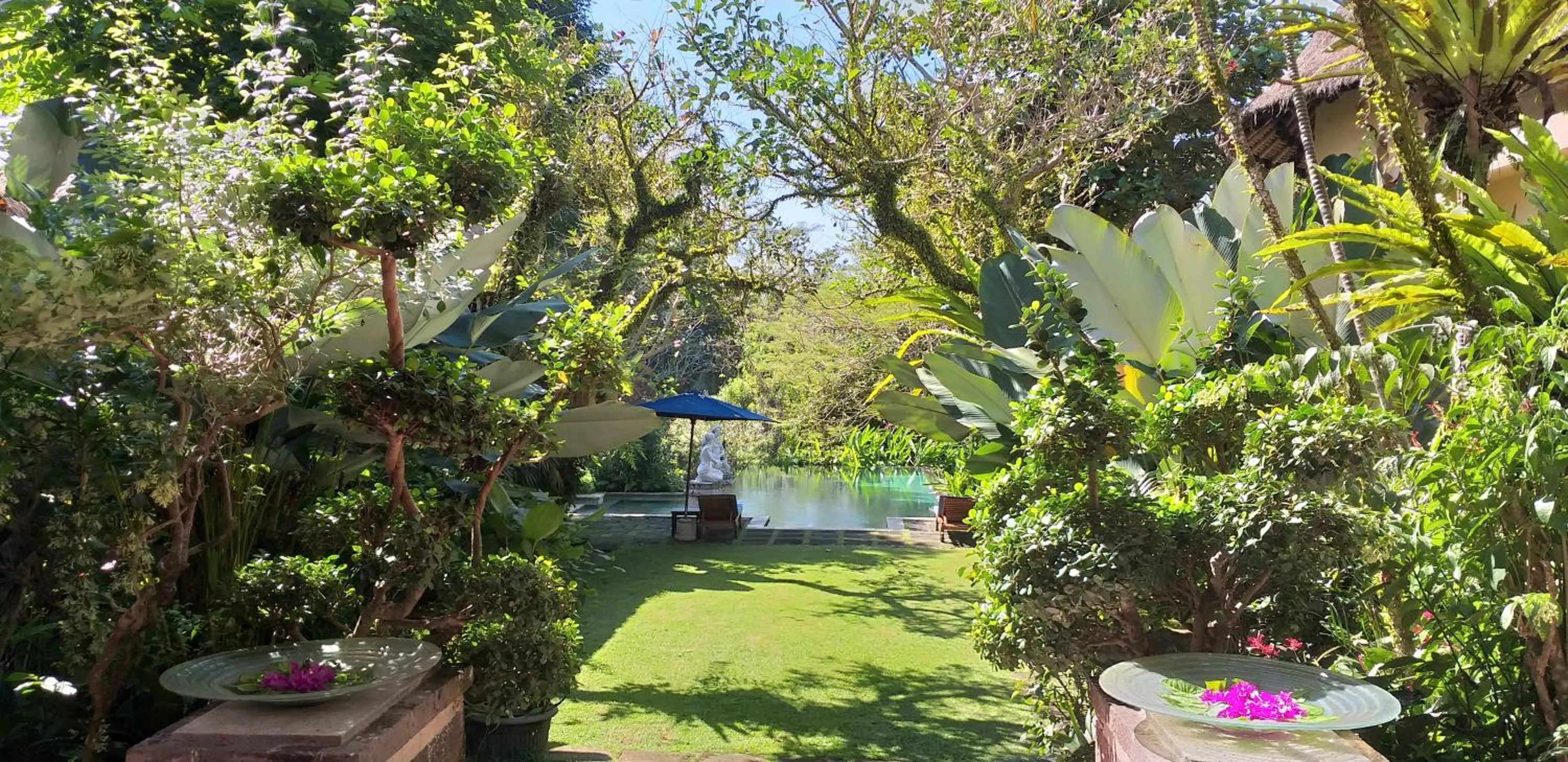 Garden view in Villa Sebali