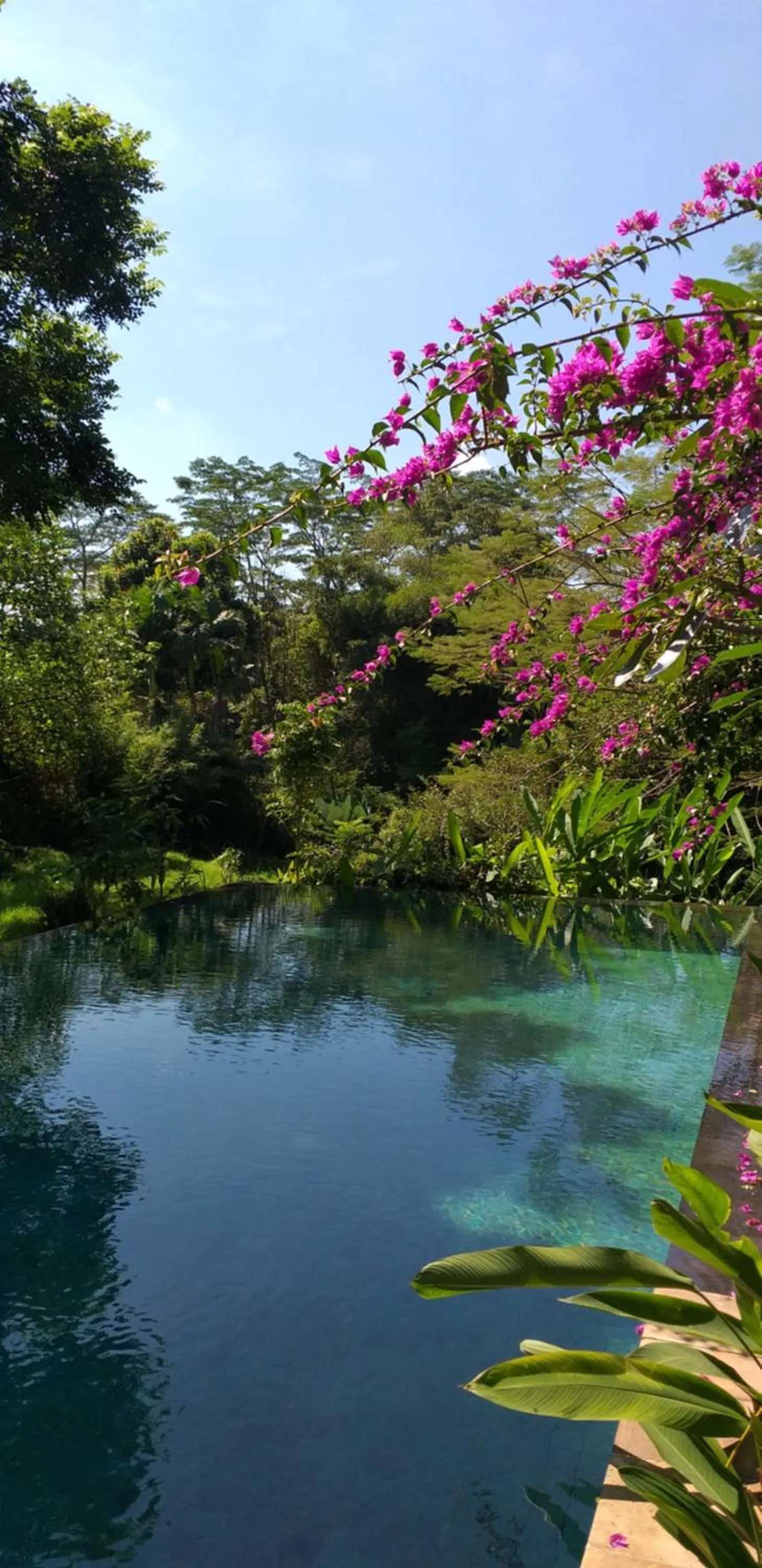Pool view in Villa Sebali