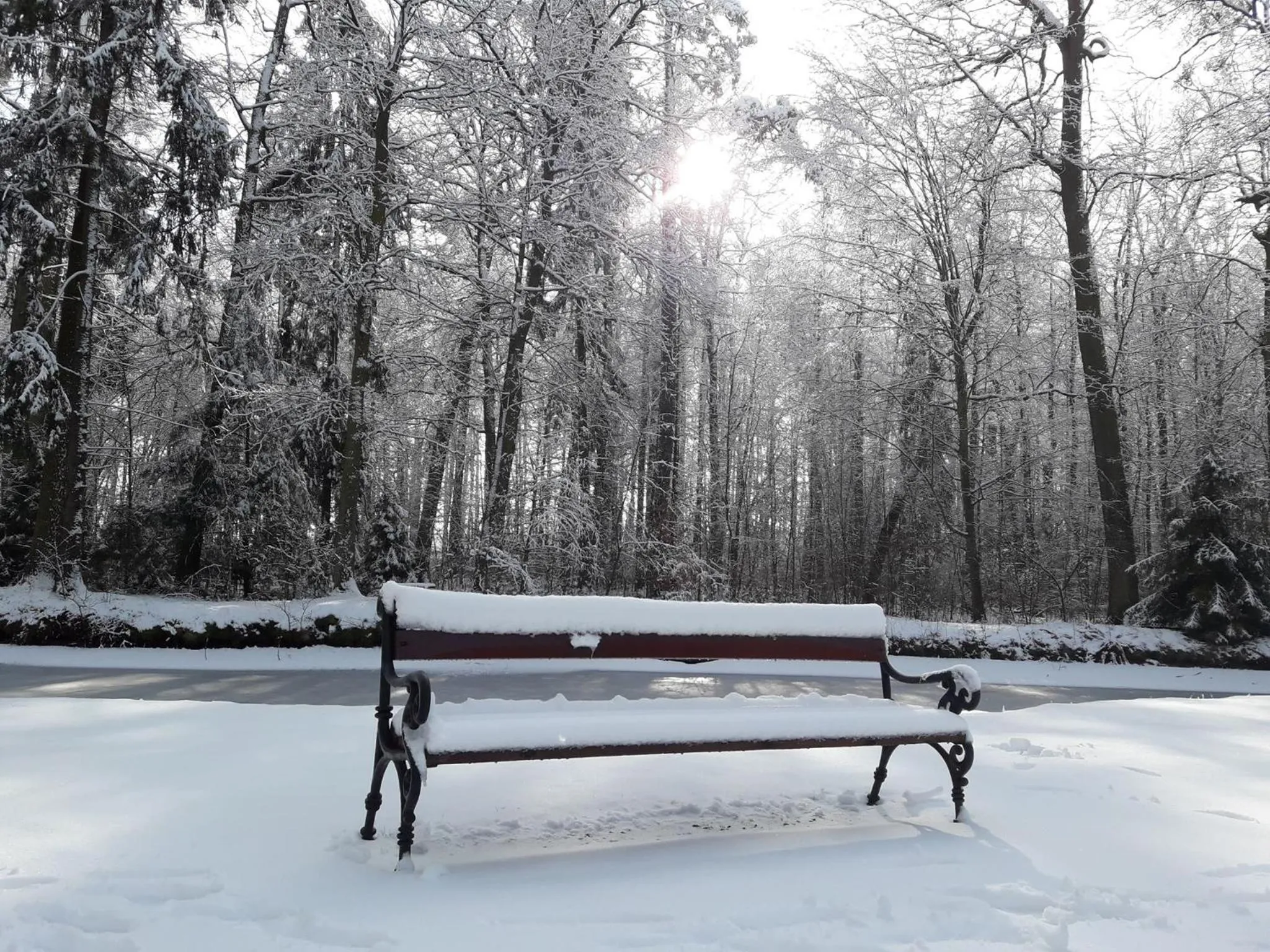 Pałac Myśliwski w Antoninie