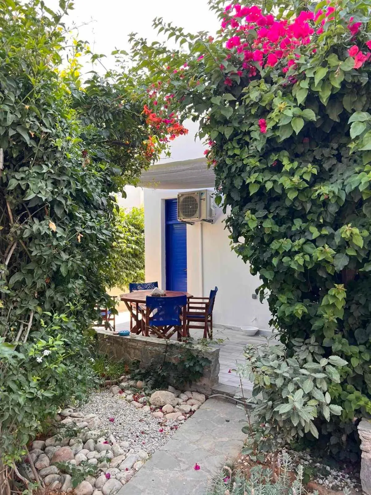 Garden in Marioly Studios