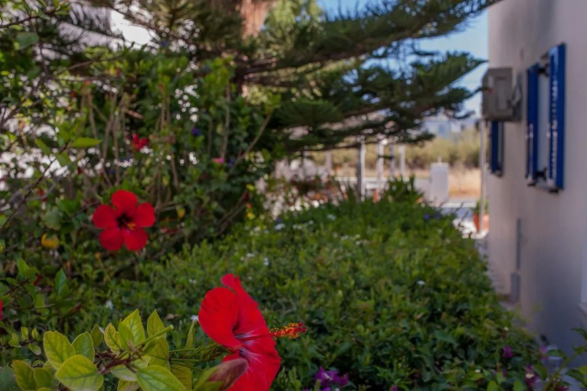 Property building in Marioly Studios