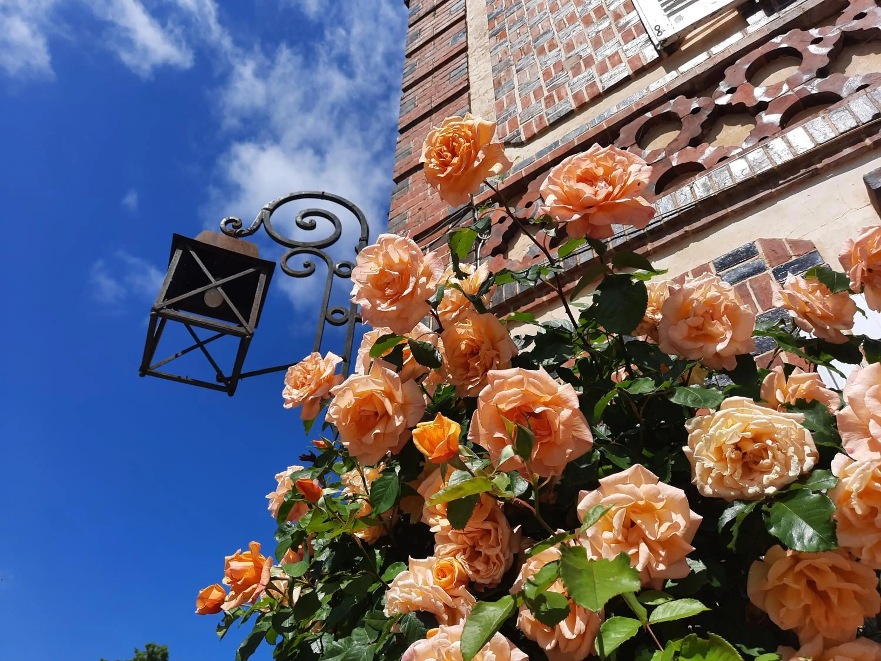 Property building in Manoir des Tuileries du Buisson